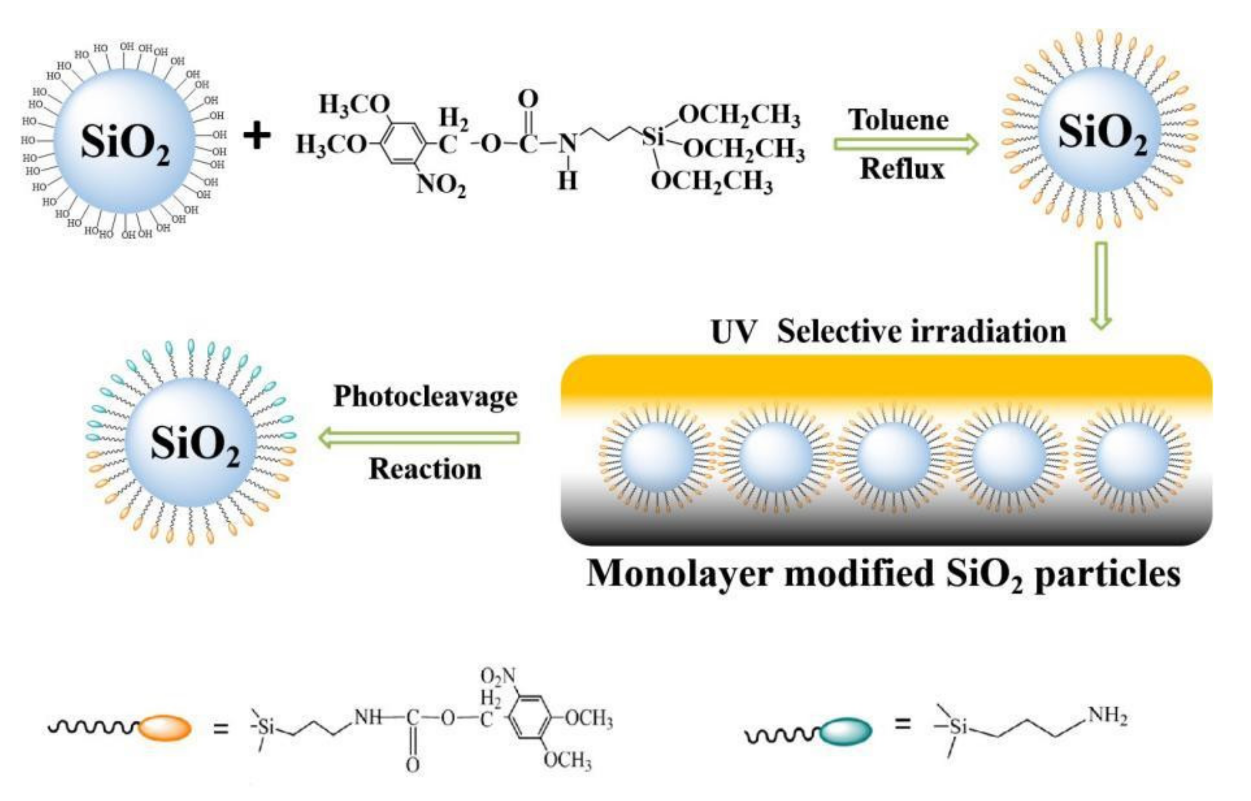 Coatings 12 00198 sch002