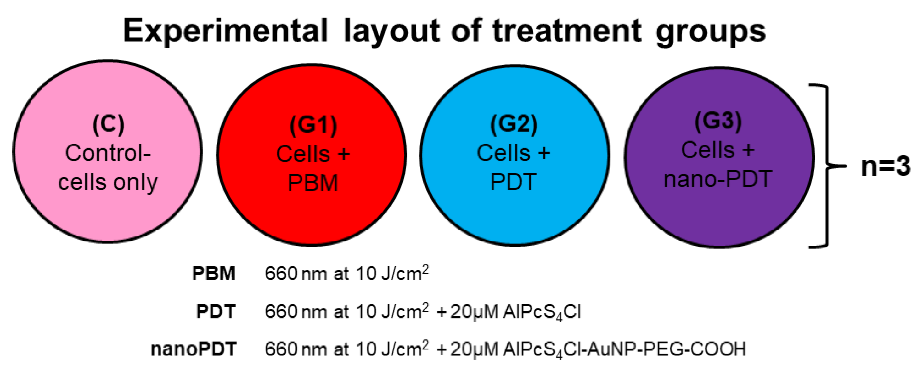 Coatings 12 00199 g001 550