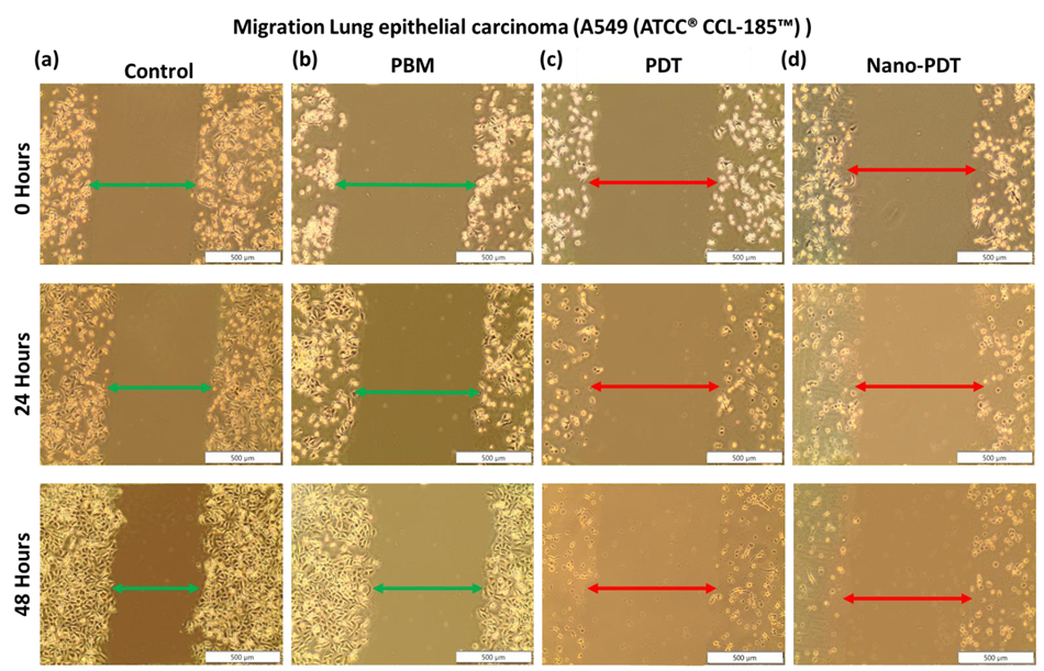 Coatings 12 00199 g003 550