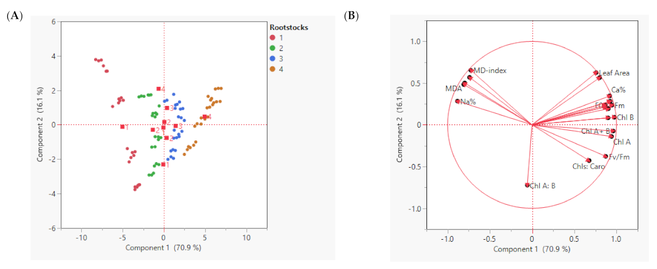 Coatings 12 00201 g002 Coatings 12 00201 g002