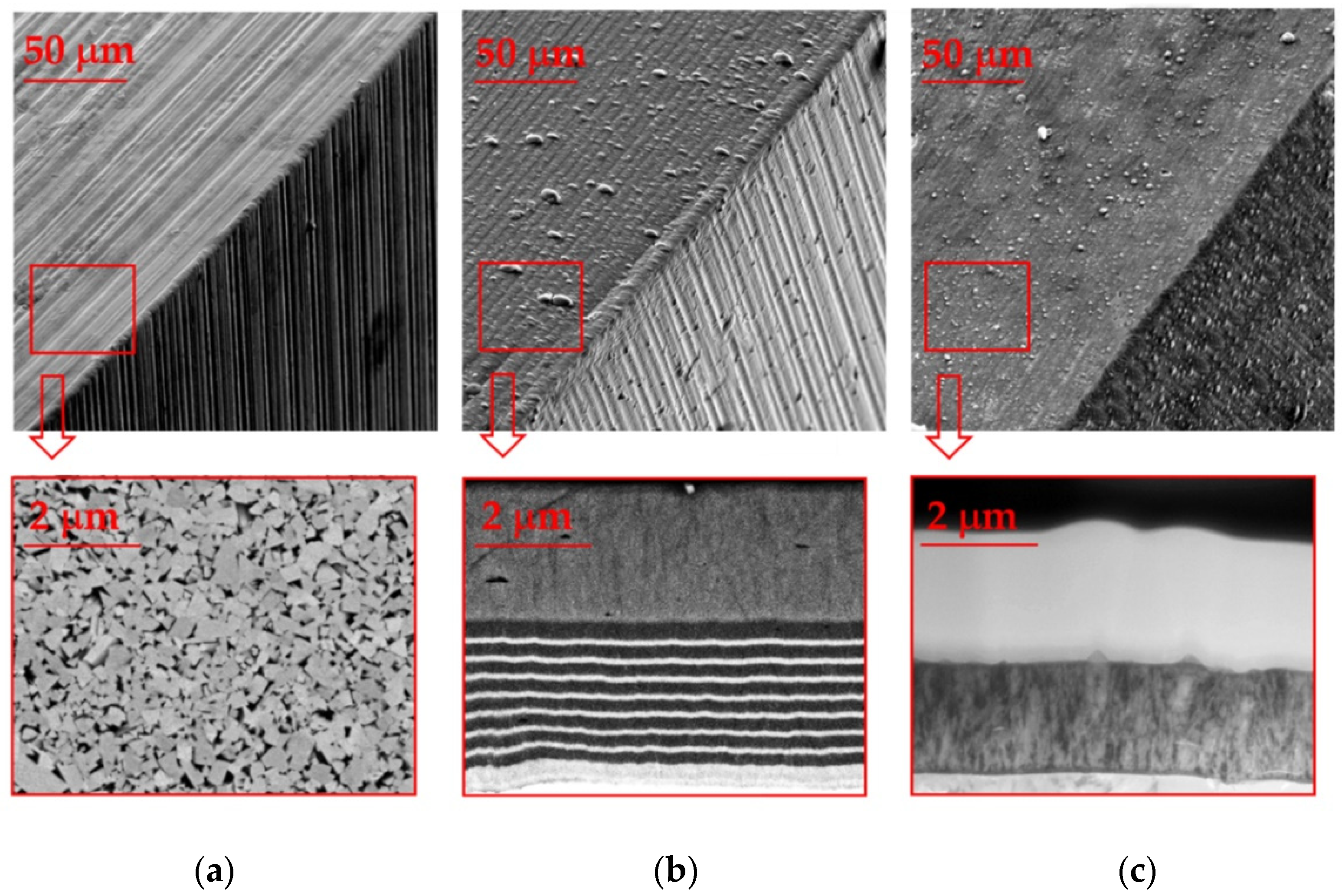 Coatings 12 00206 g005 550
