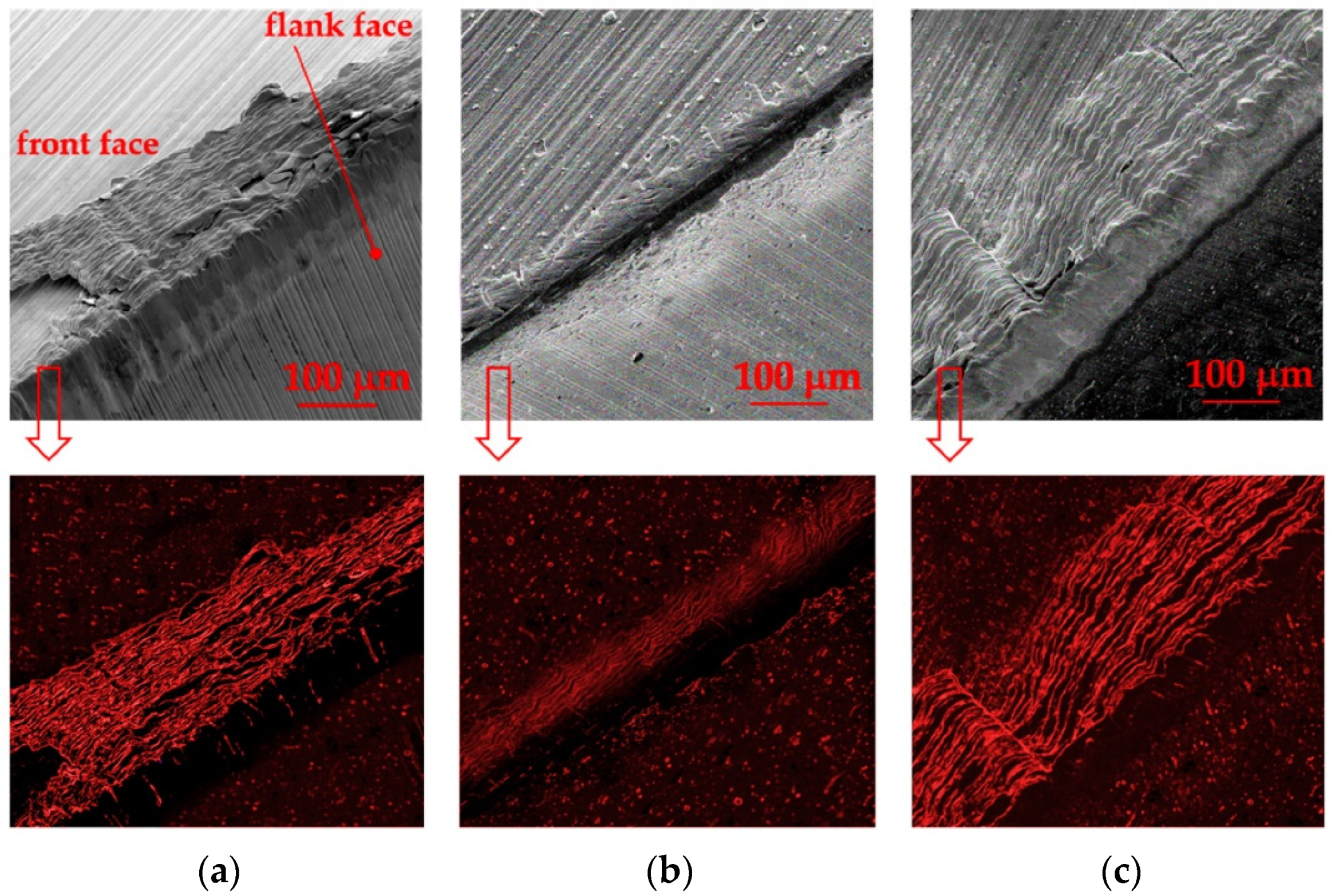 Coatings 12 00206 g011 550