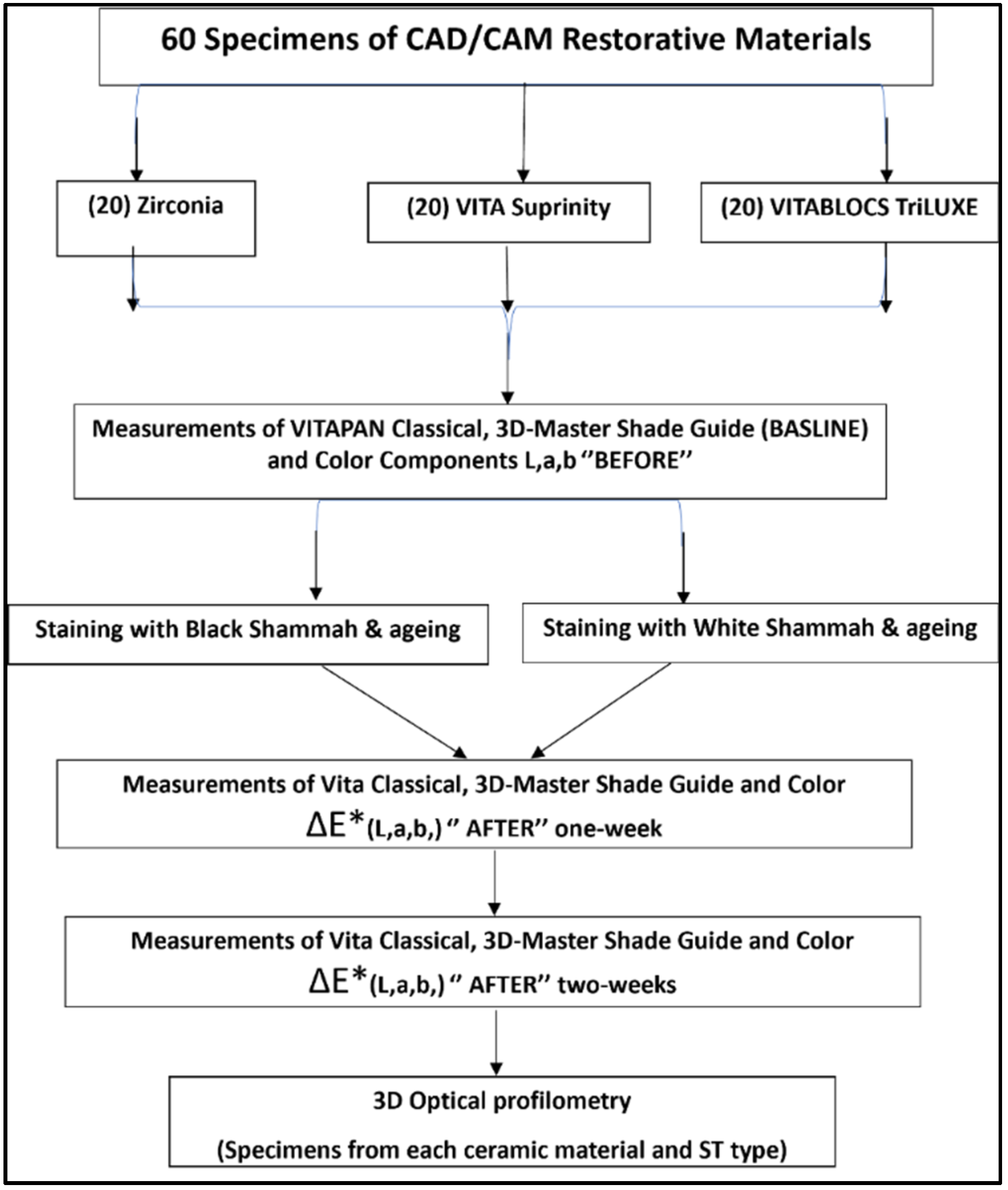 Coatings 12 00207 g004 550