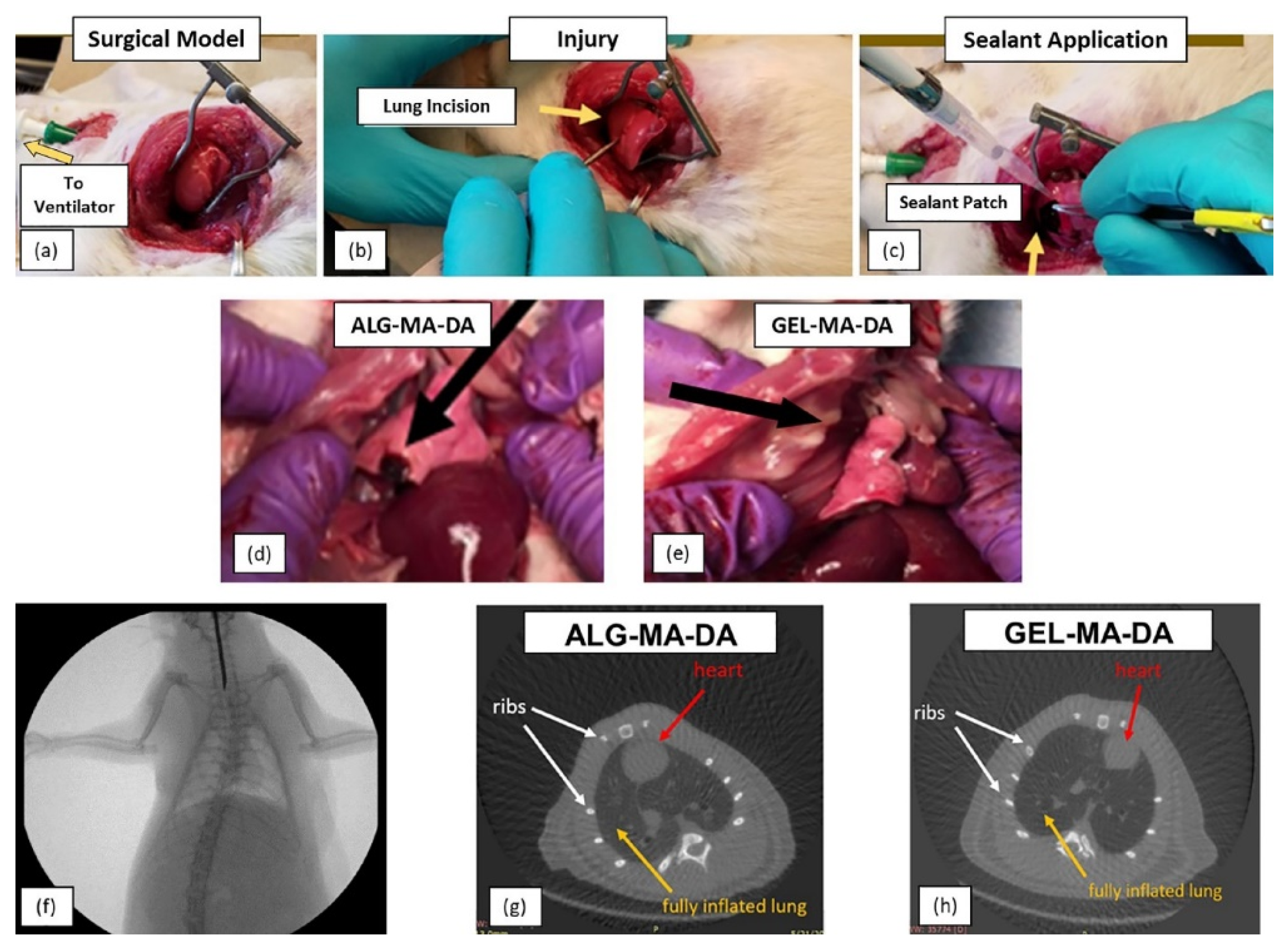 Coatings 12 00211 g004