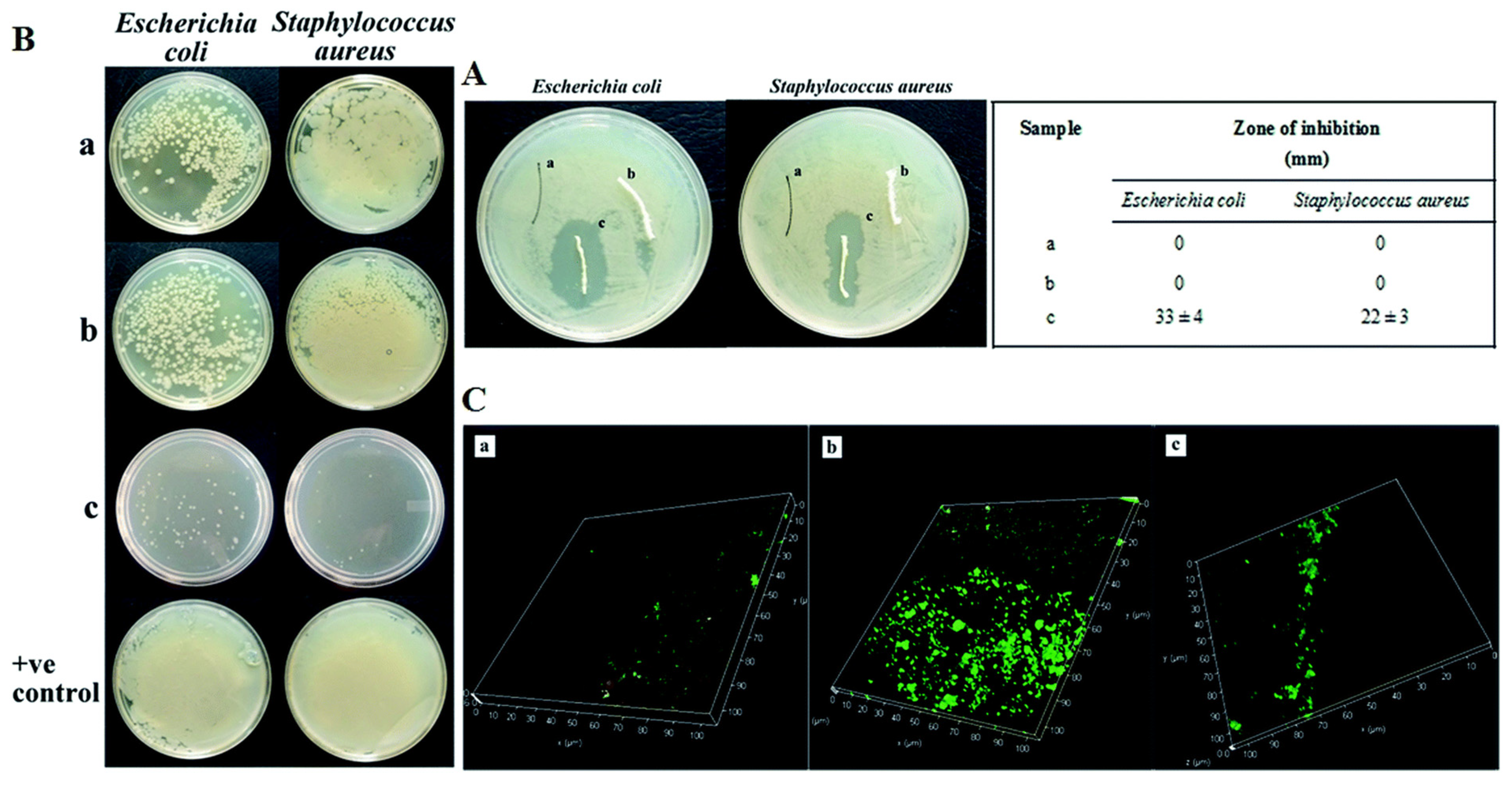 Coatings 12 00211 g005
