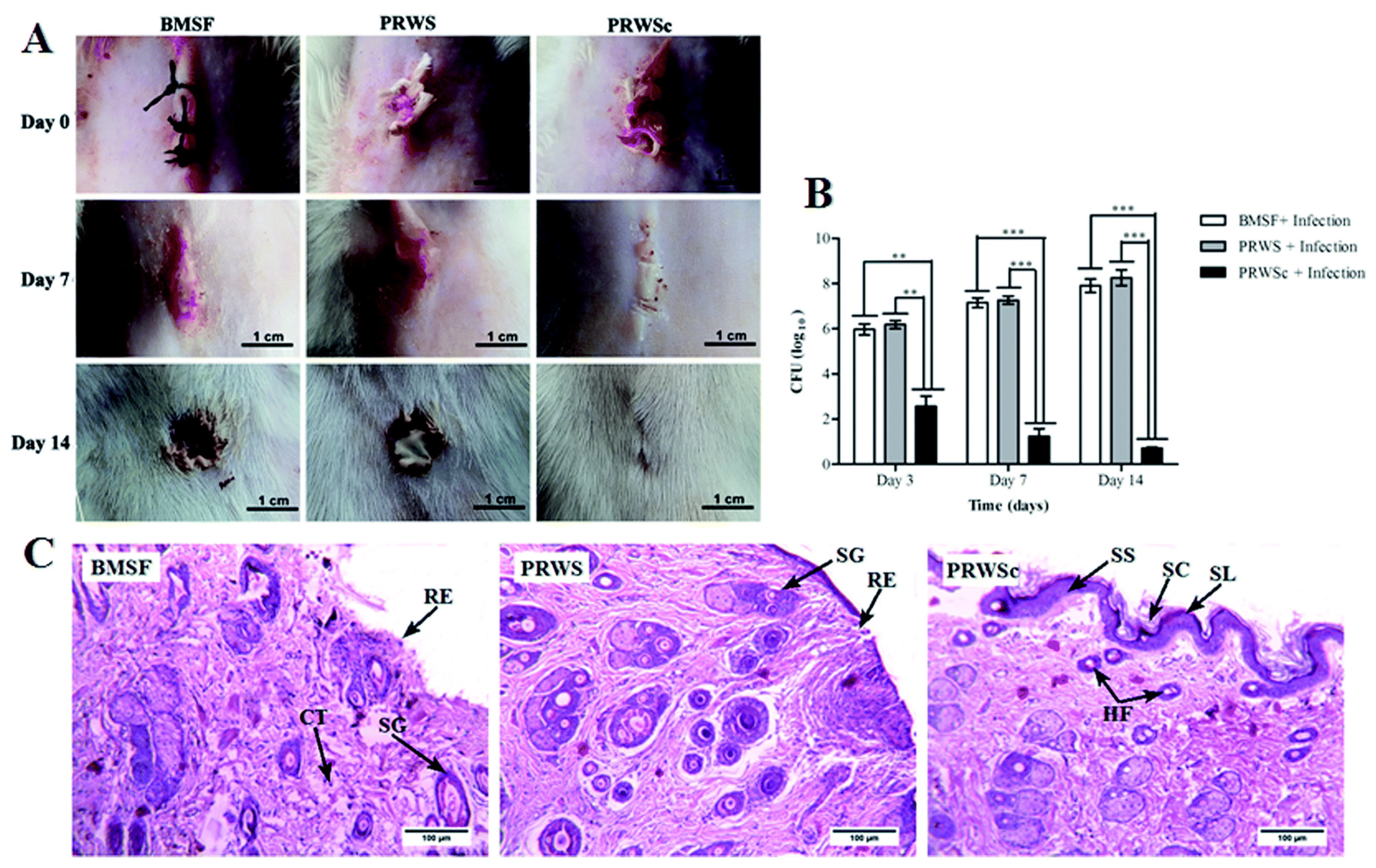 Coatings 12 00211 g006