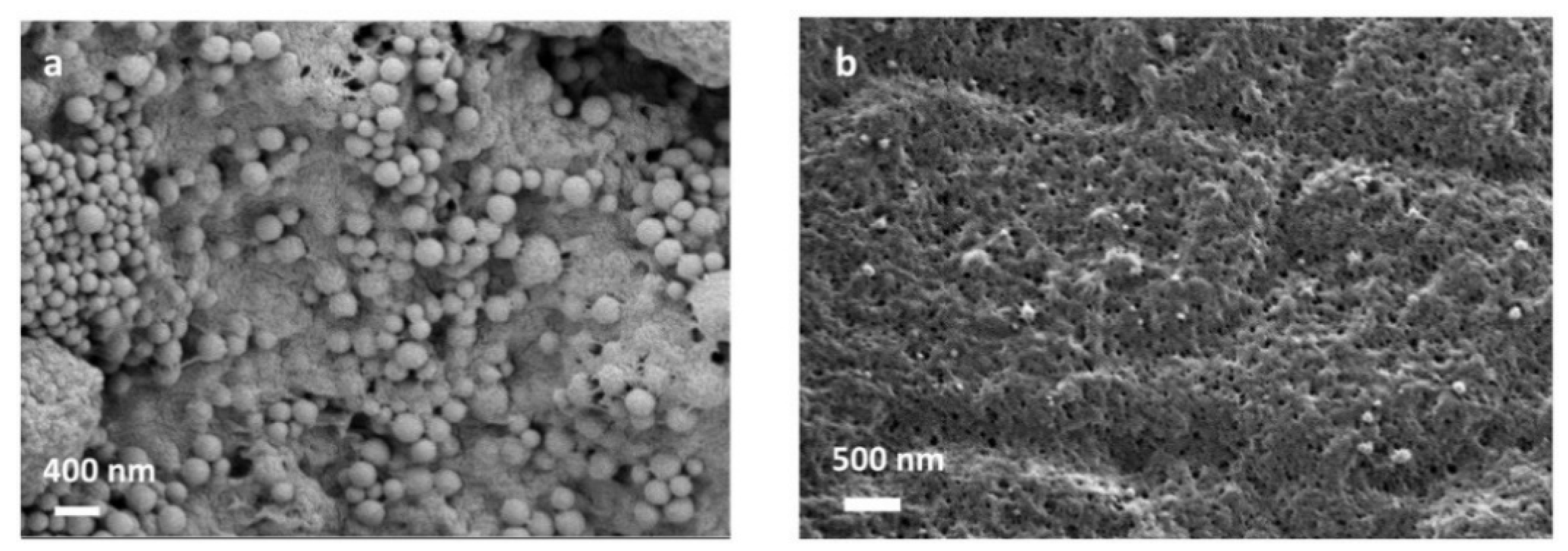Coatings 12 00211 g007
