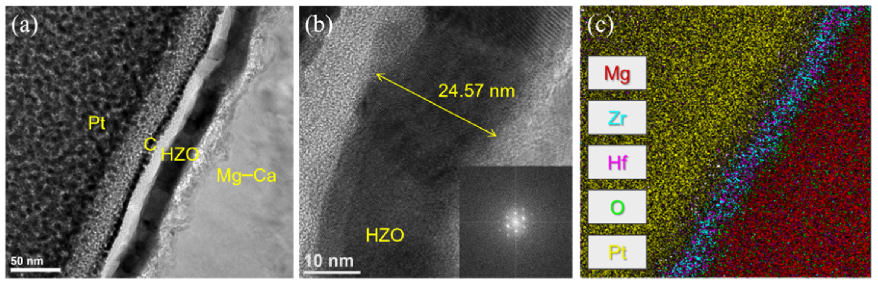 Coatings 12 00212 g003