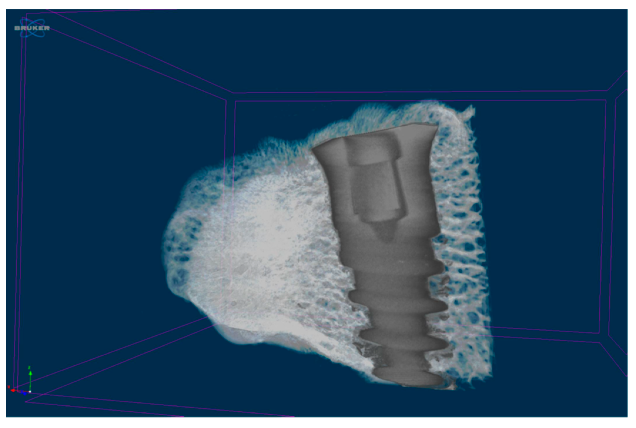 Coatings 12 00219 g003 Coatings 12 00219 g003