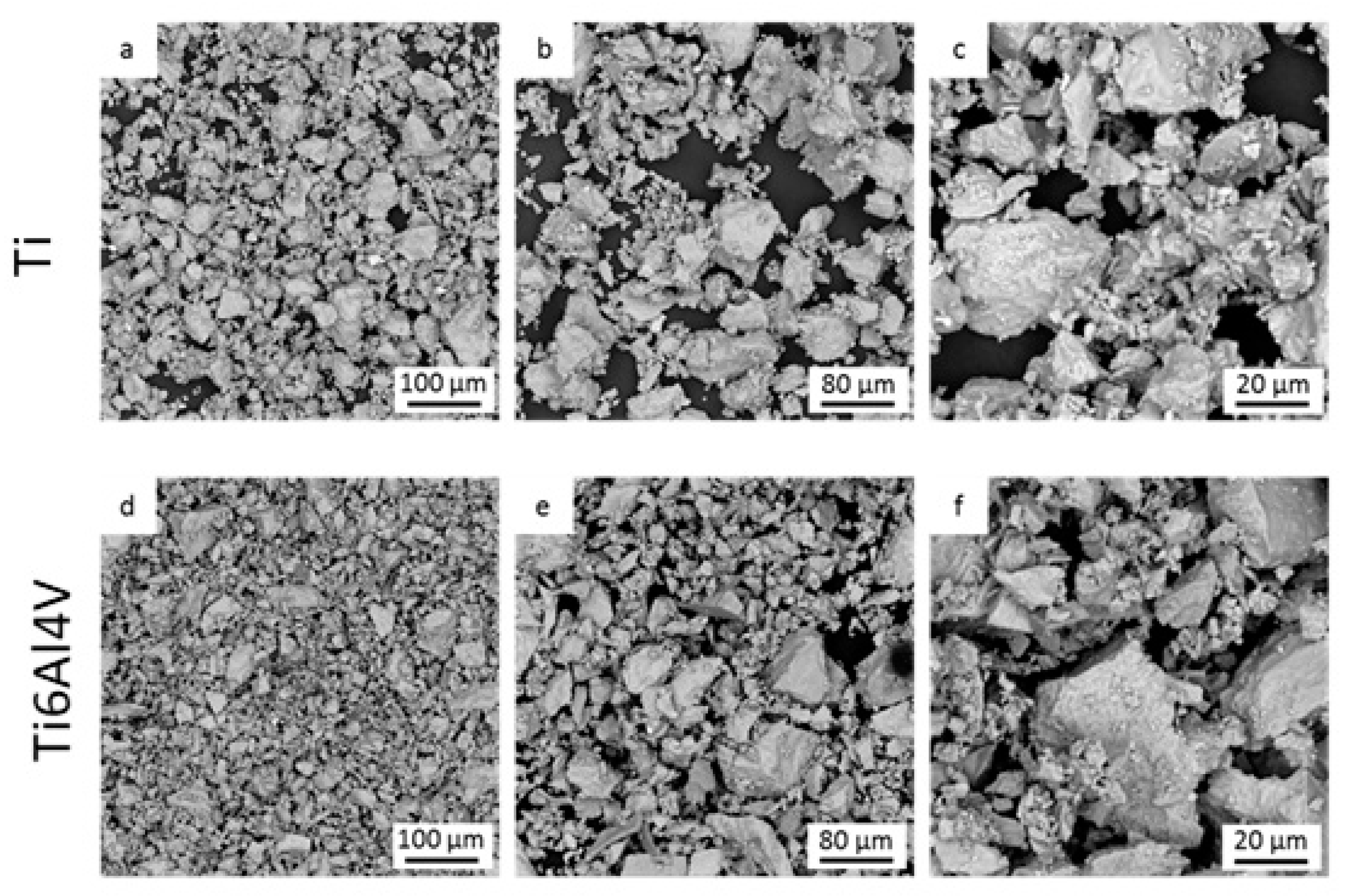 Coatings 12 00219 g005 Coatings 12 00219 g005
