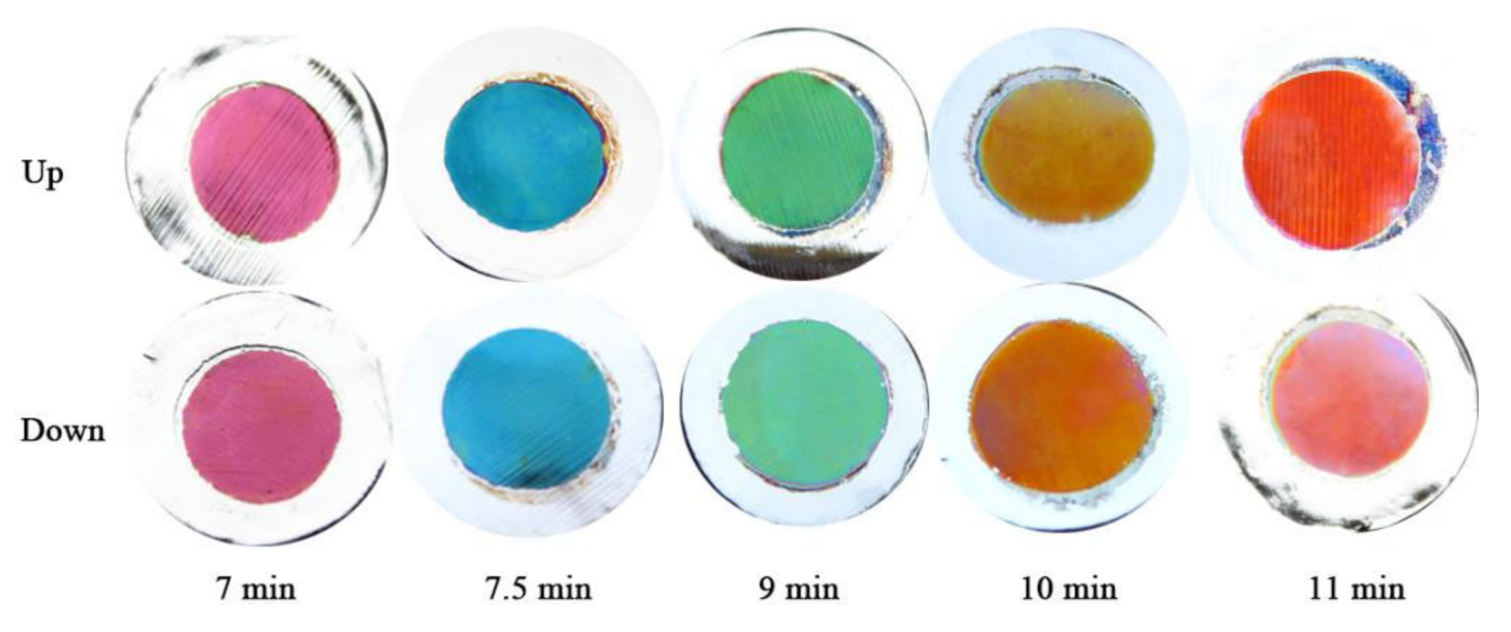 Coatings 12 00223 g002 550