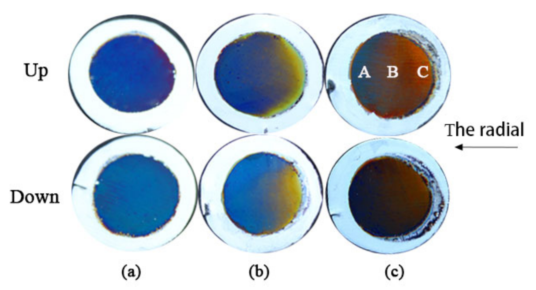 Coatings 12 00223 g004 550