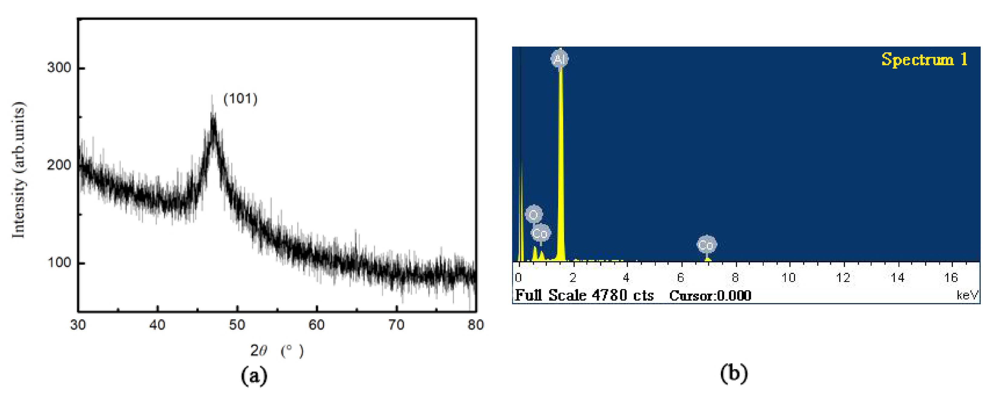 Coatings 12 00223 g005 550