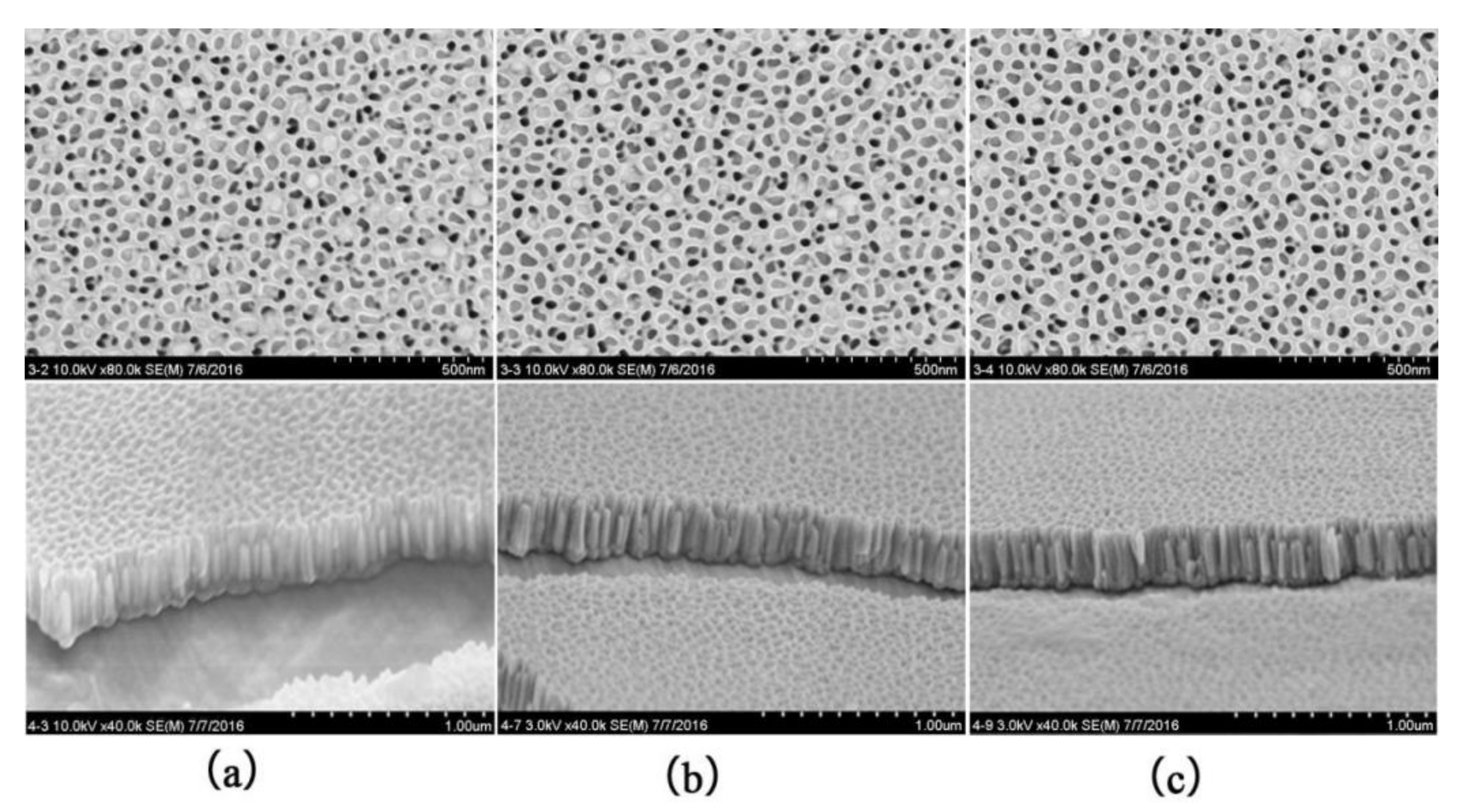 Coatings 12 00223 g006 550