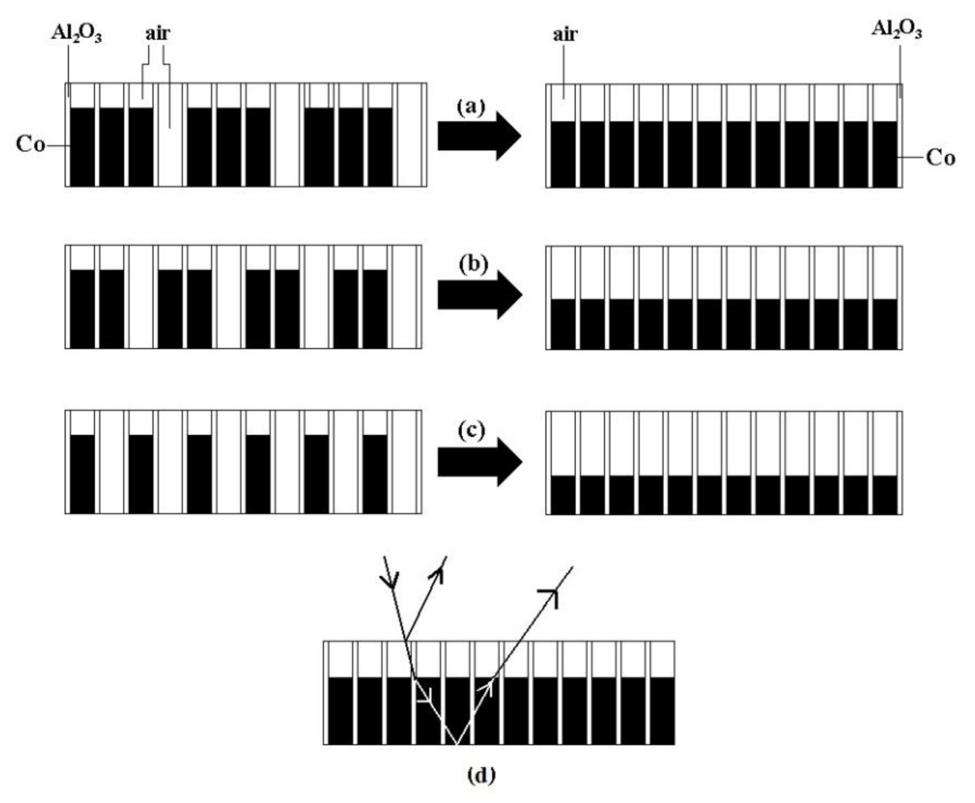 Coatings 12 00223 g007 550