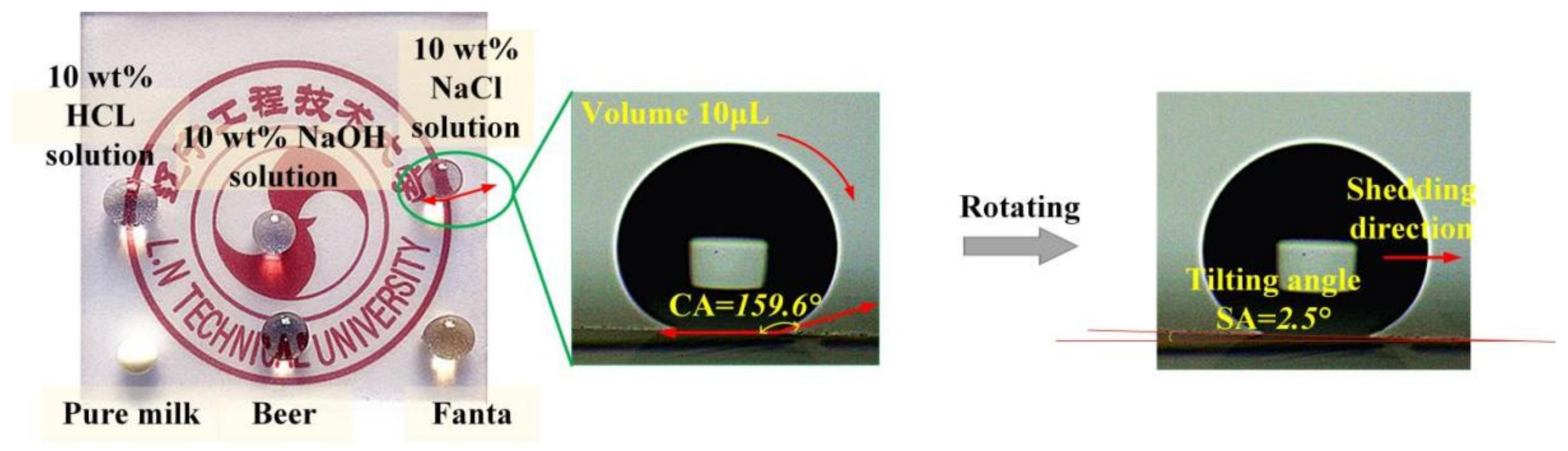 Coatings 12 00228 g003 550