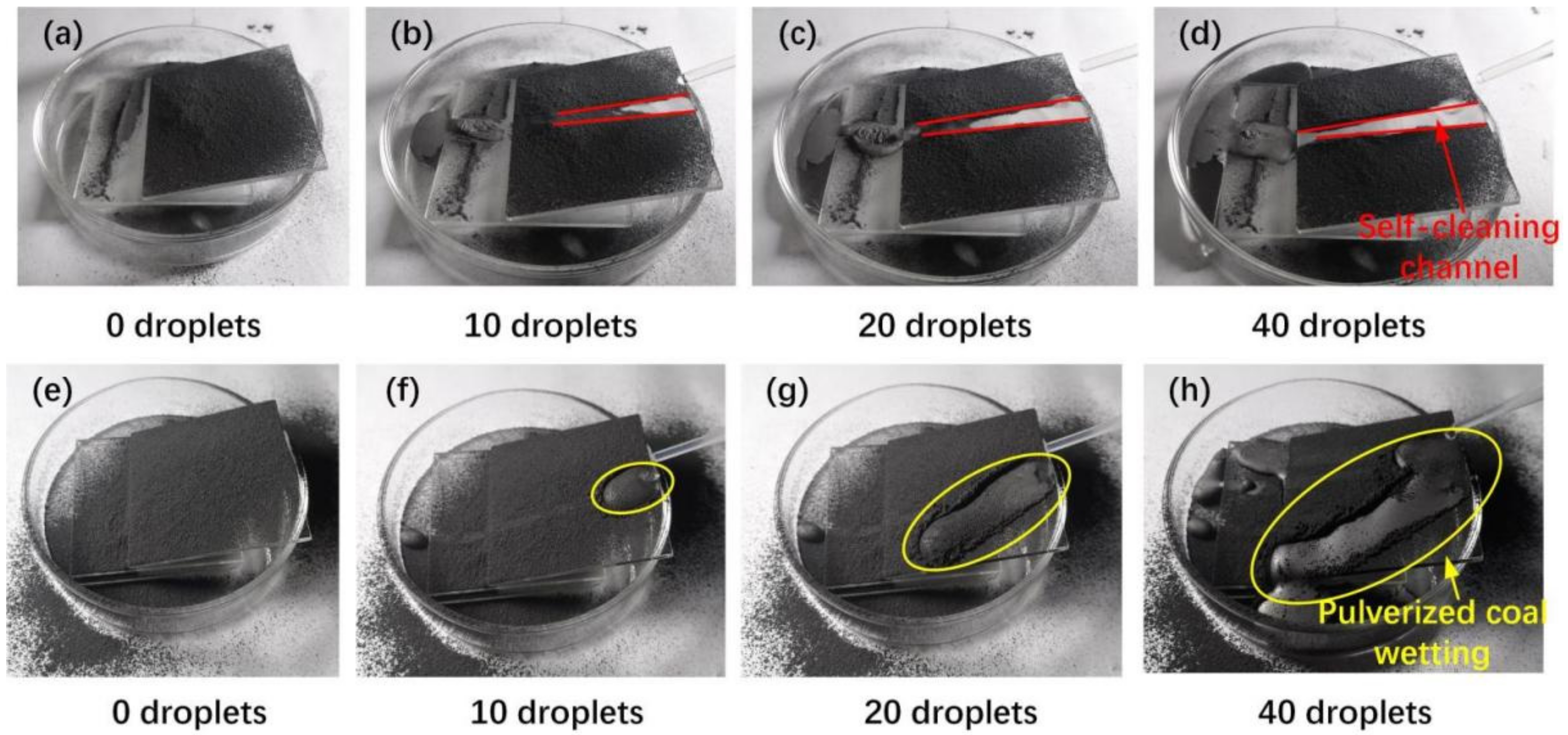 Coatings 12 00228 g010 550