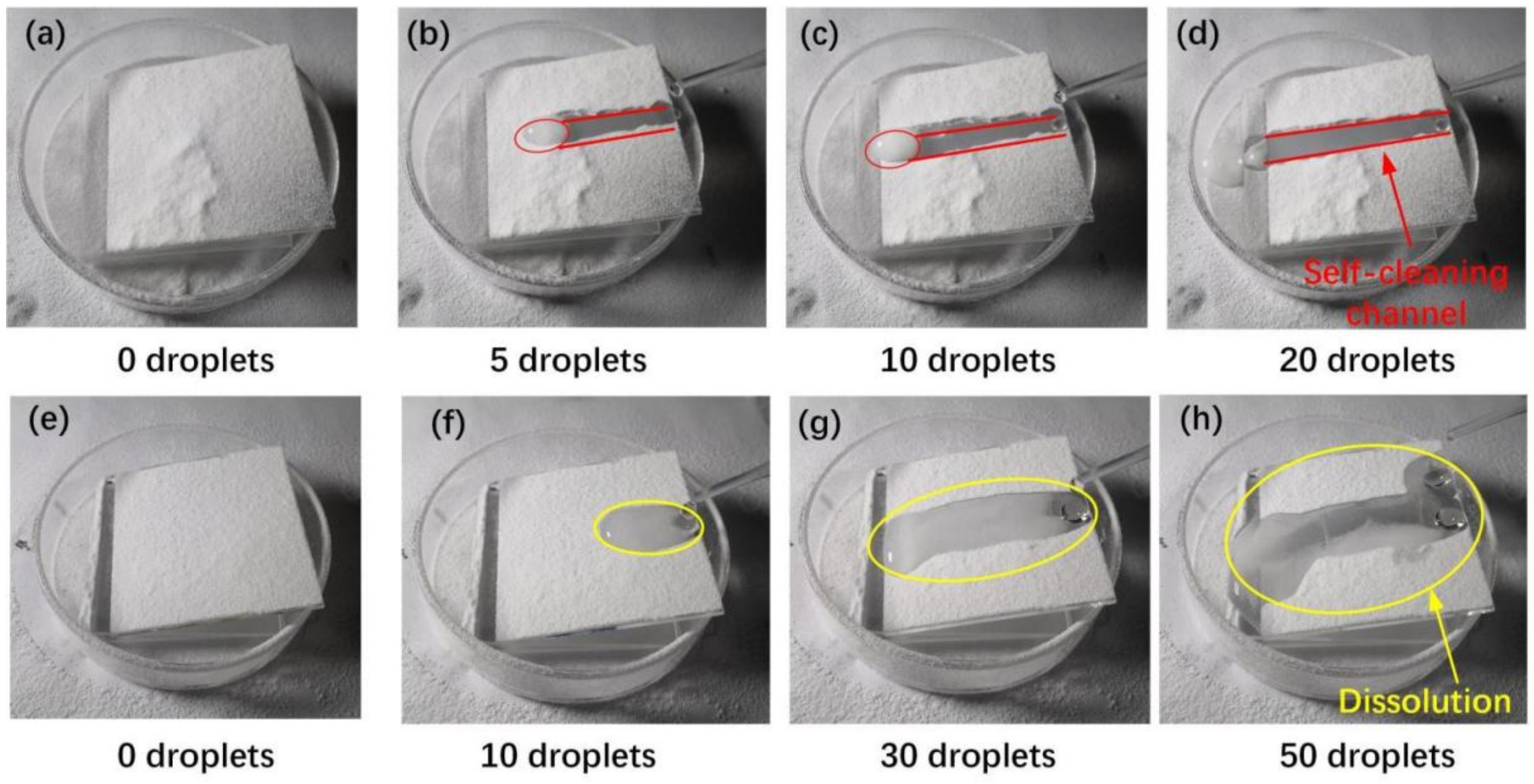 Coatings 12 00228 g011 550