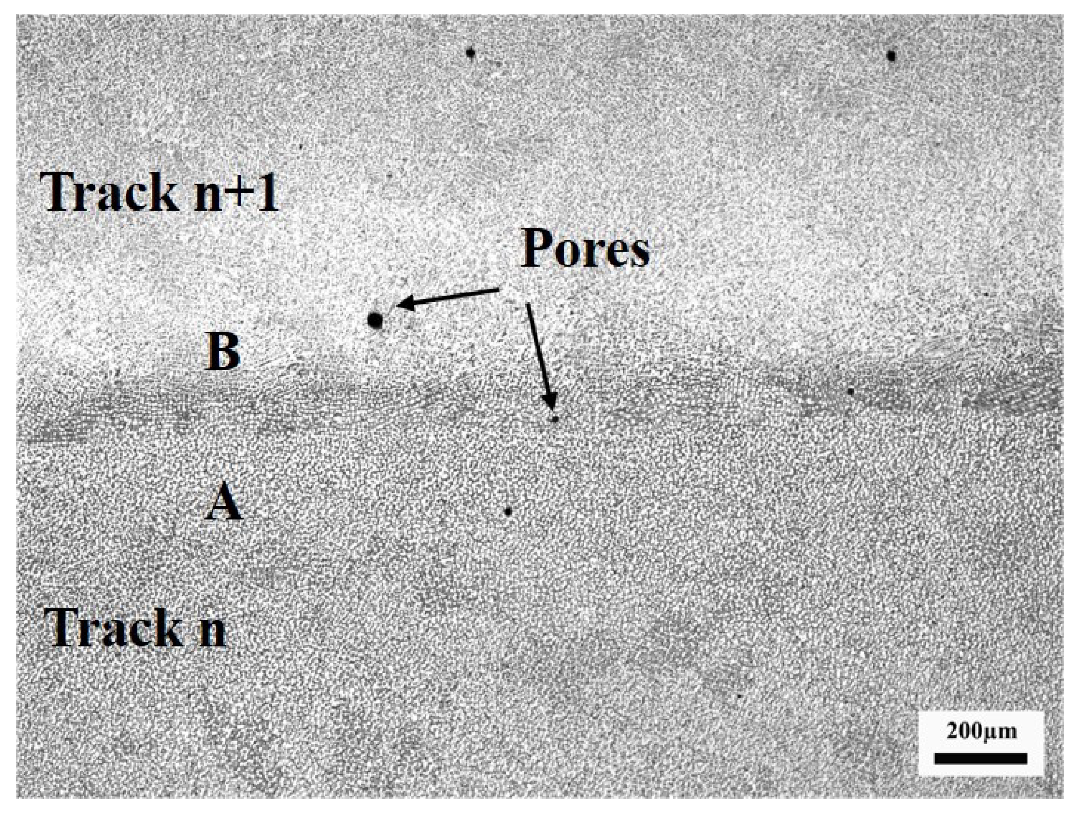 Coatings 12 00229 g006