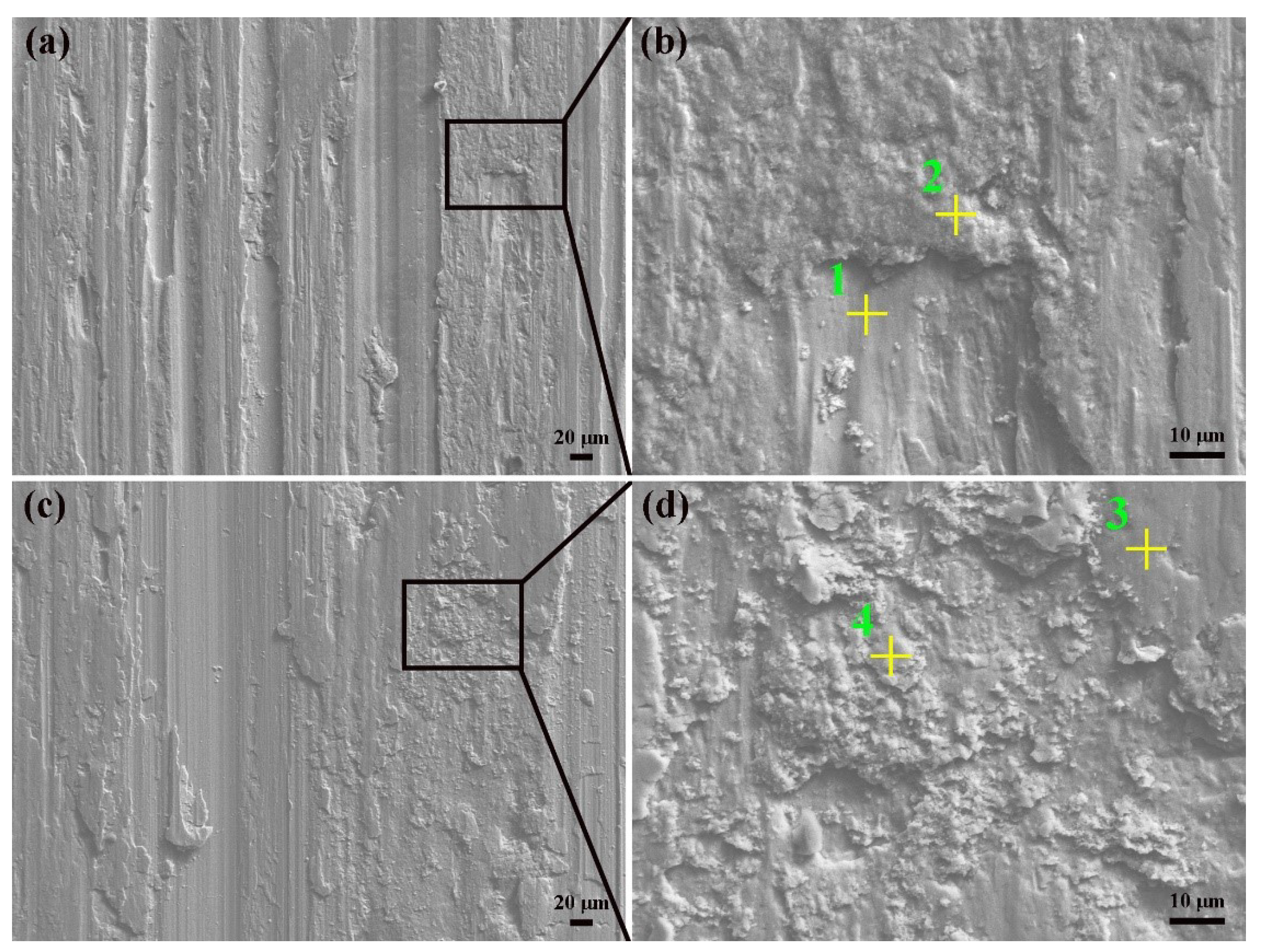 Coatings 12 00229 g012