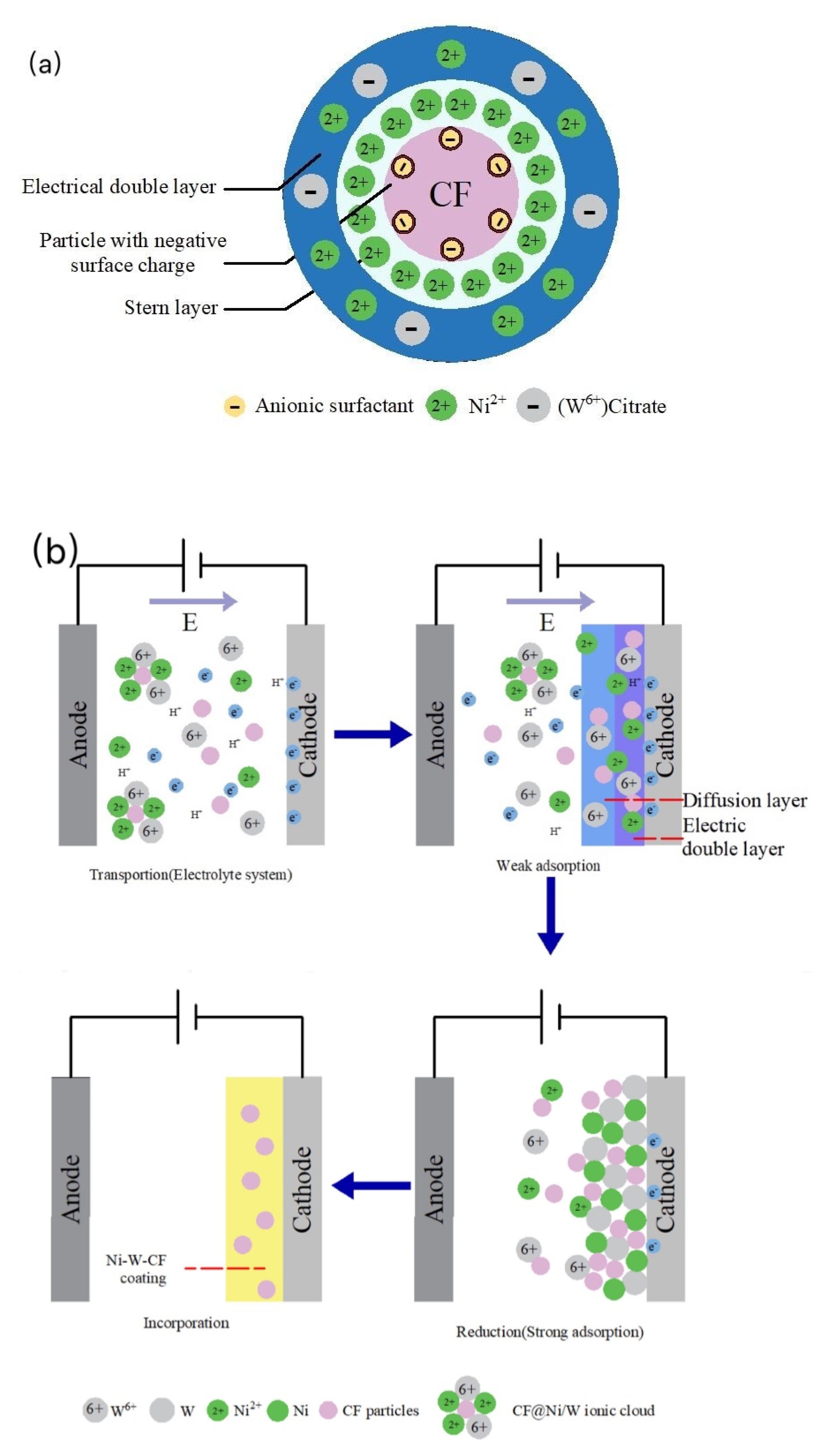 Coatings 12 00231 g009