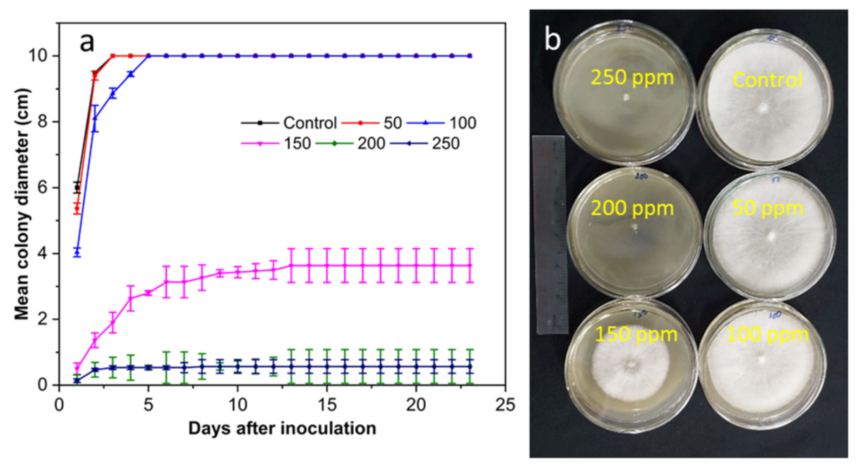 Coatings 12 00235 g005 550