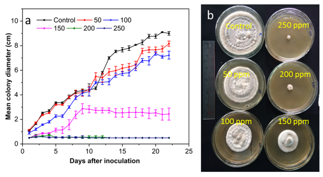 Coatings 12 00235 g006 550