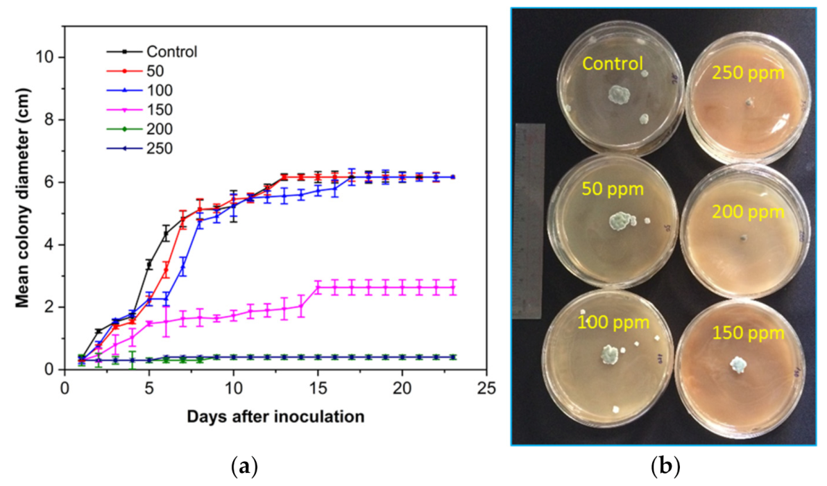 Coatings 12 00235 g007 550