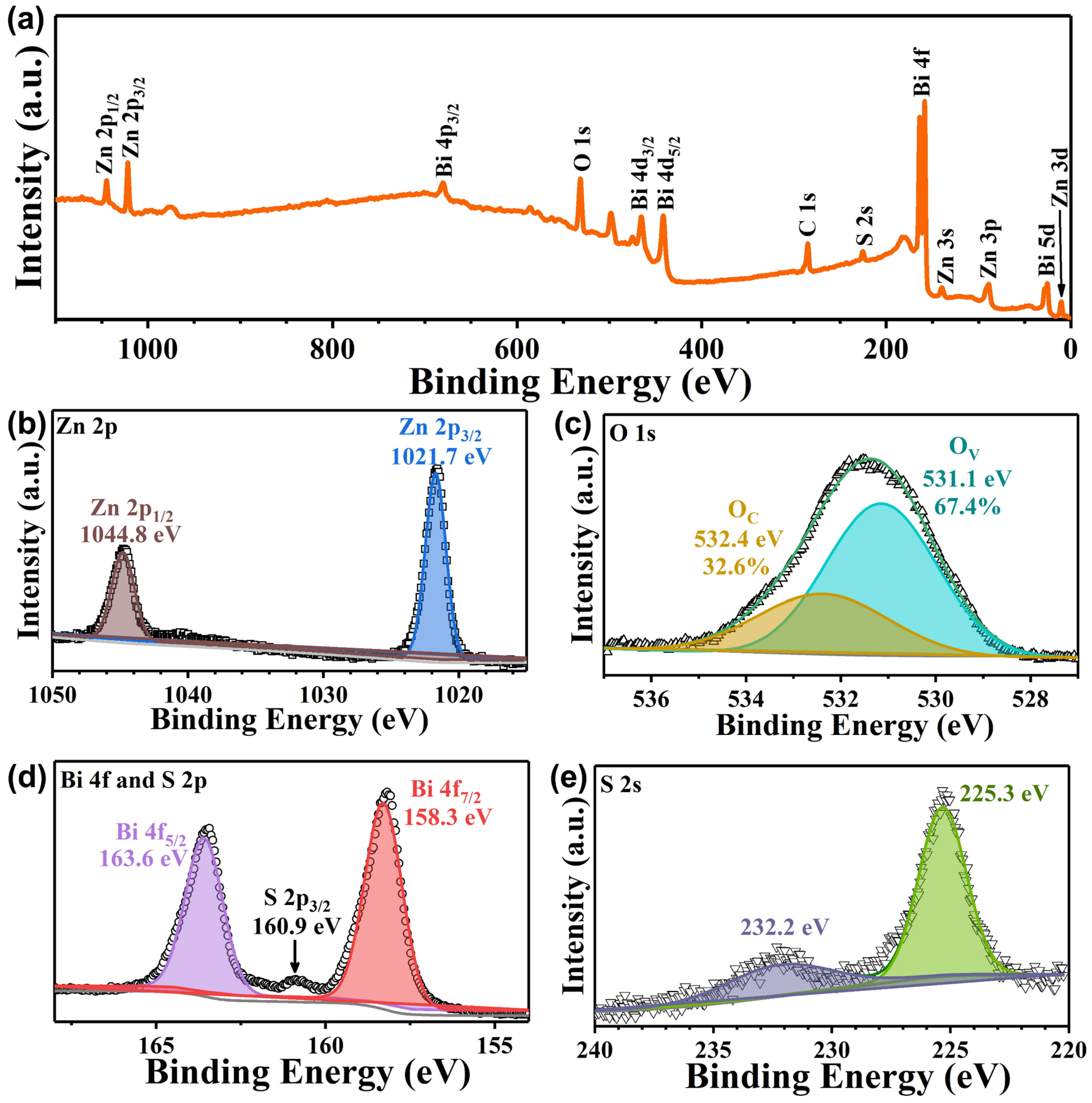 Coatings 12 00244 g004 550