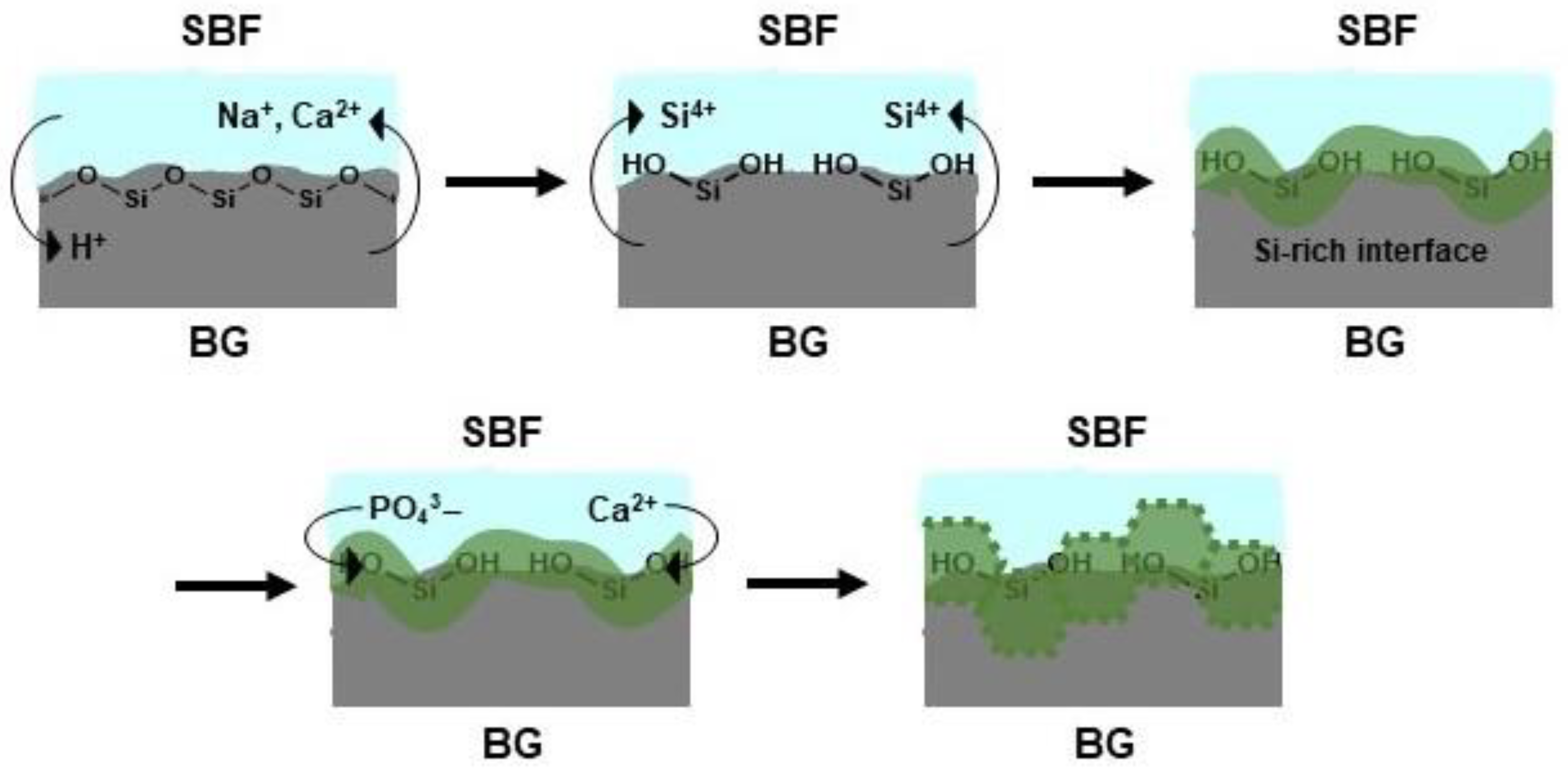 Coatings 12 00245 g009