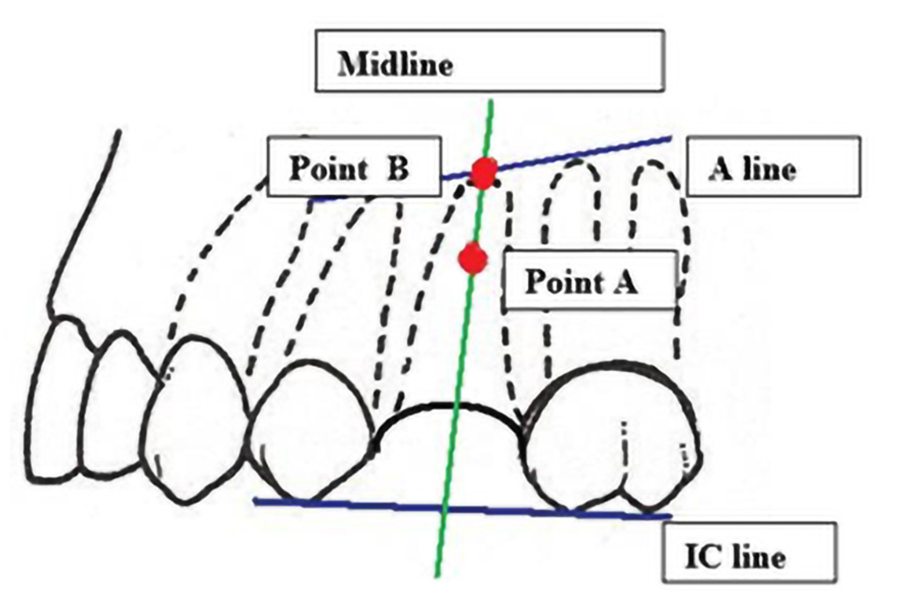 Coatings 12 00247 g008