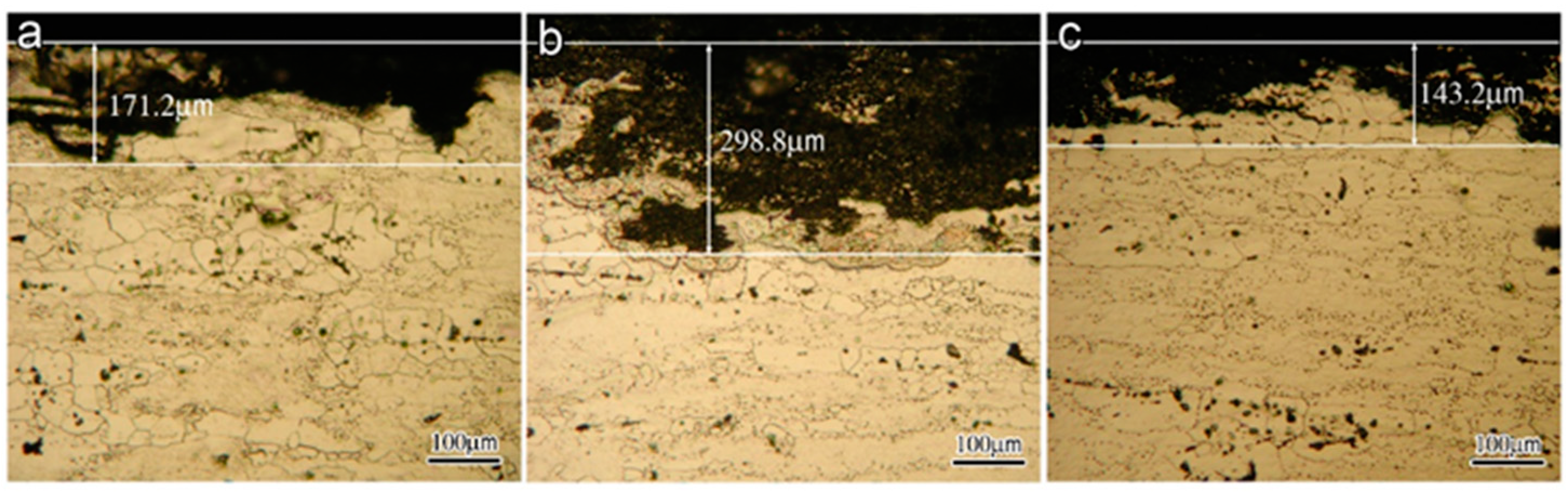 Coatings 12 00249 g001 550
