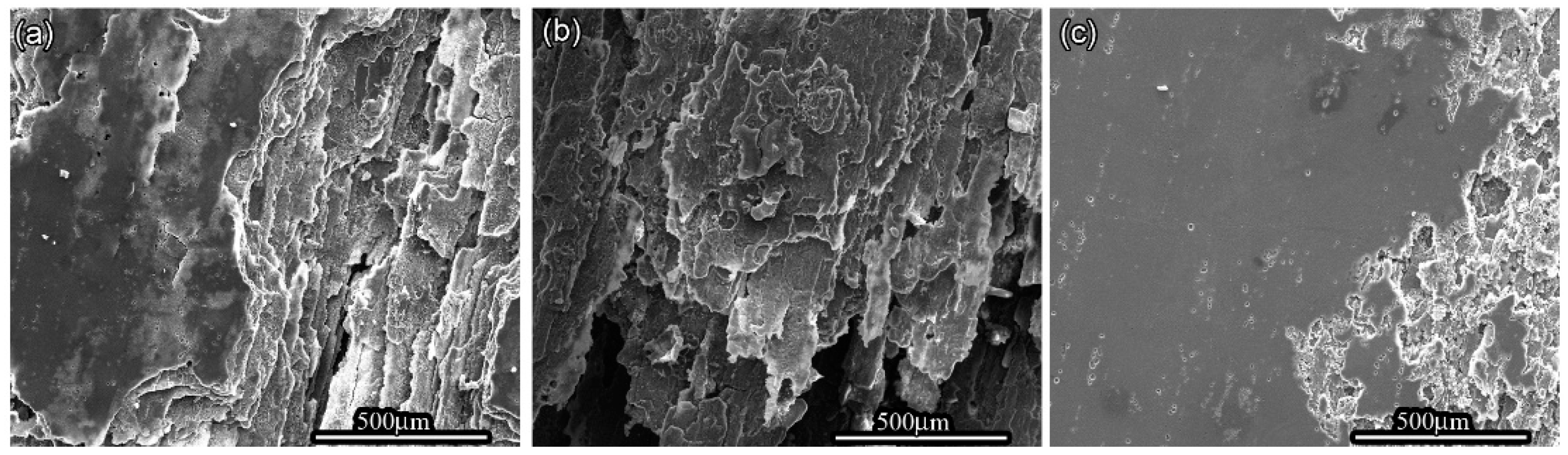 Coatings 12 00249 g002 550