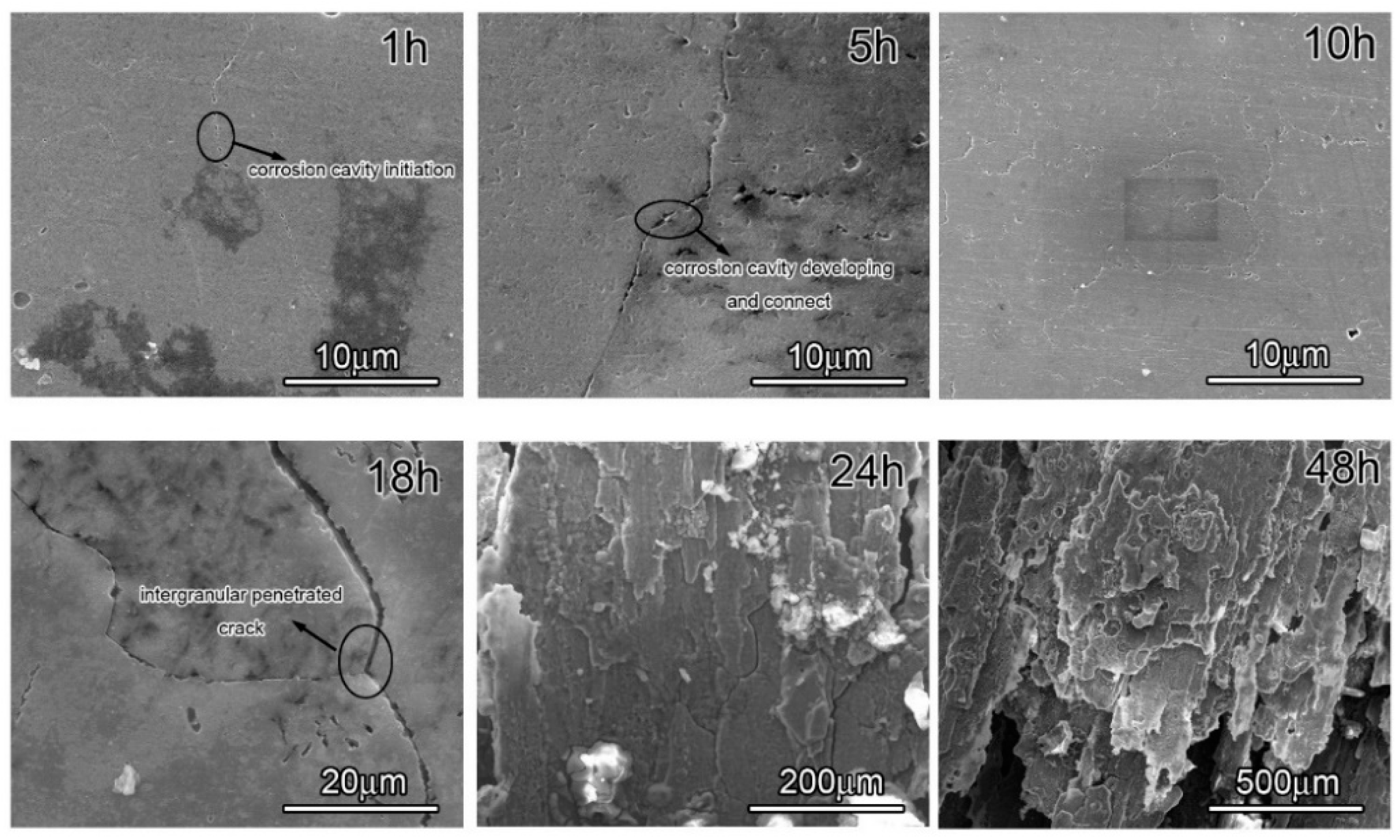 Coatings 12 00249 g005 550
