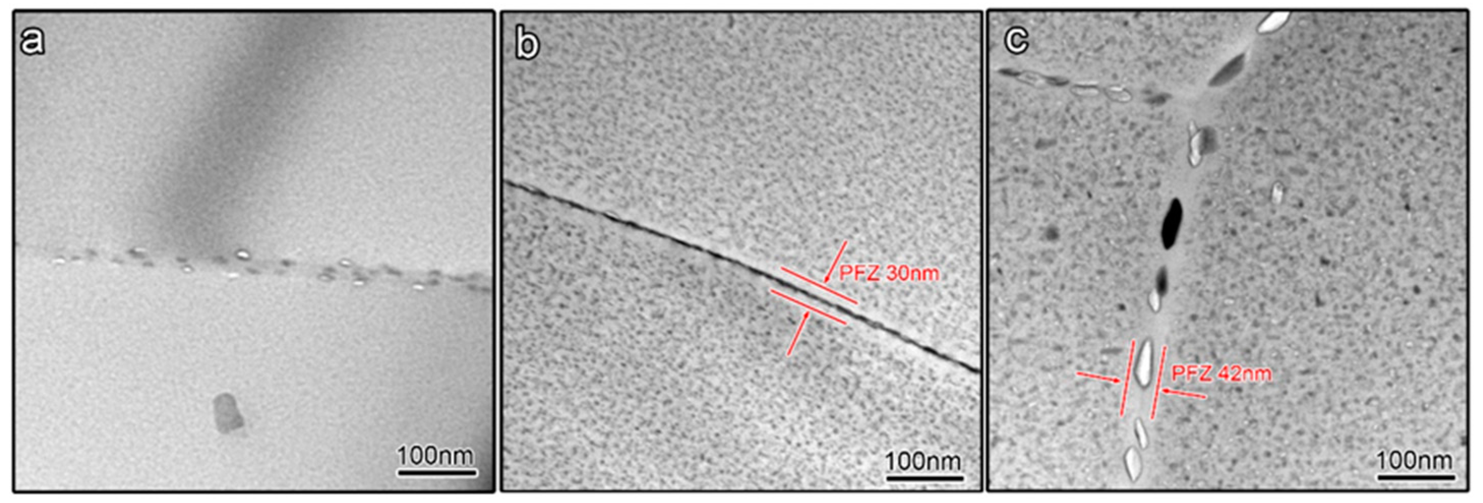 Coatings 12 00249 g006 550