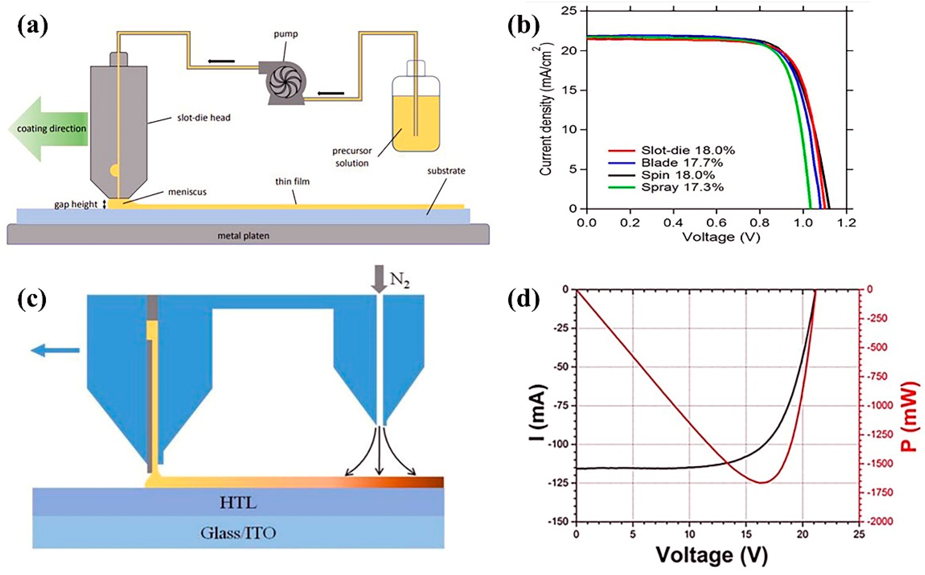 Coatings 12 00252 g007 550