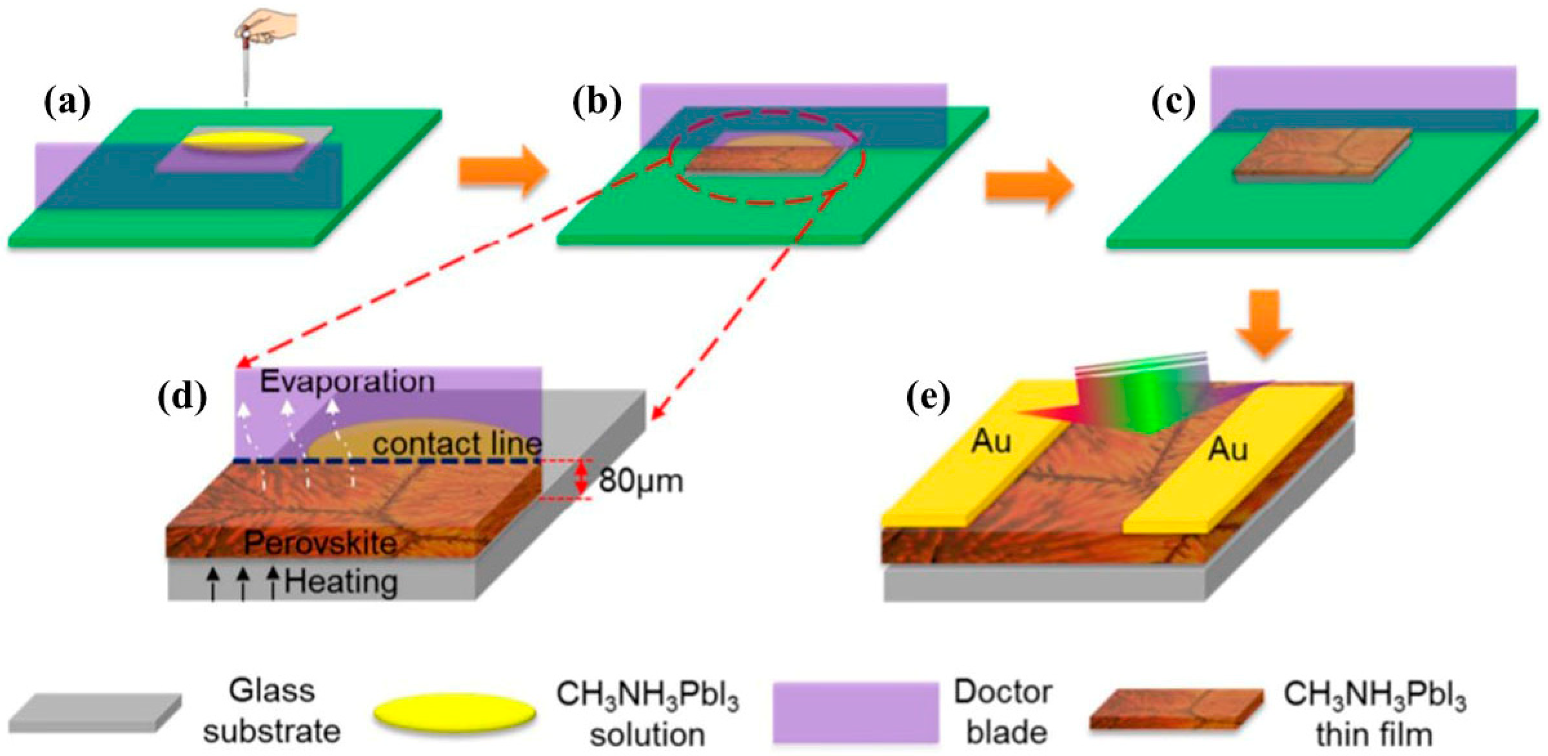 Coatings 12 00252 g008 550