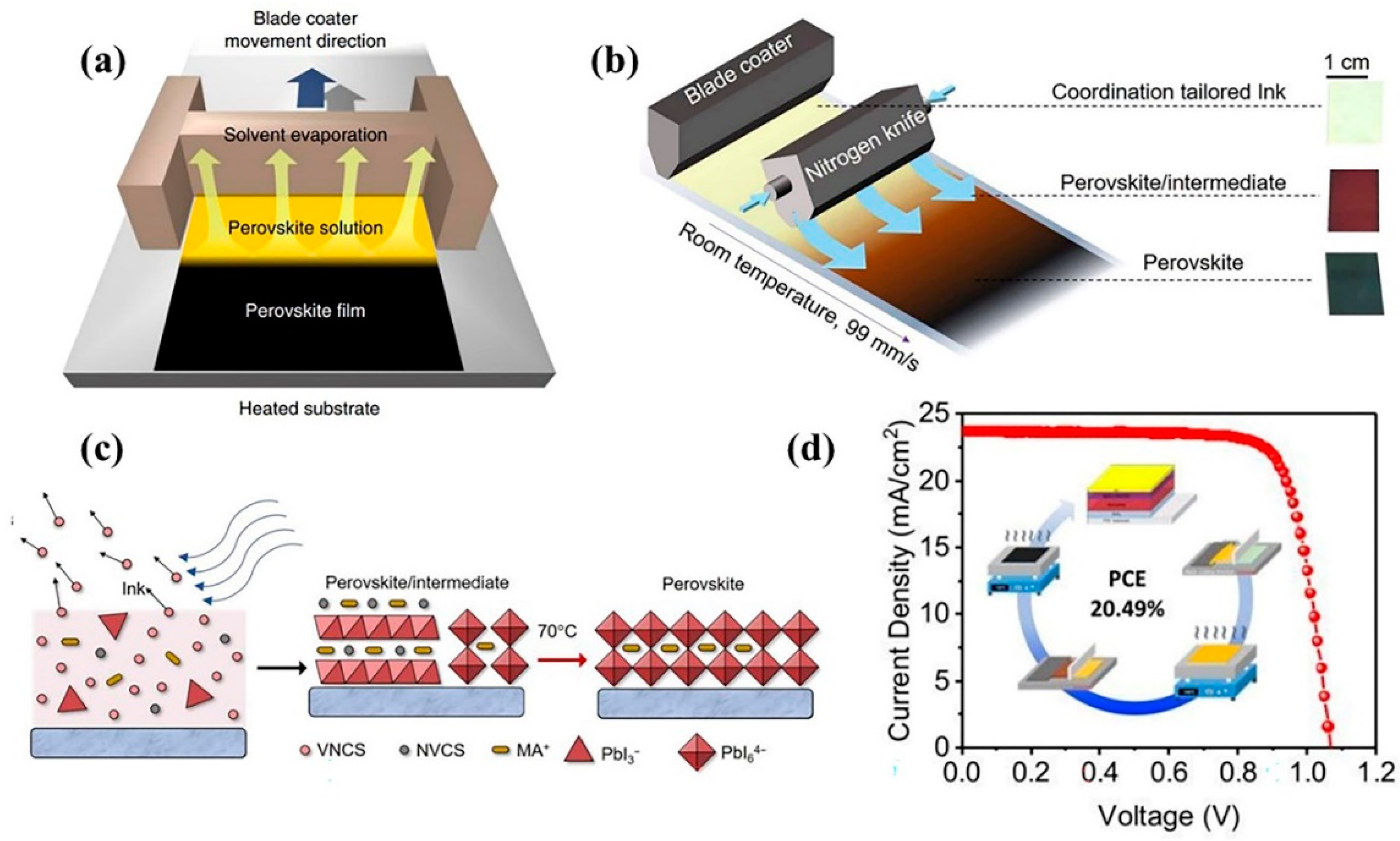 Coatings 12 00252 g009 550