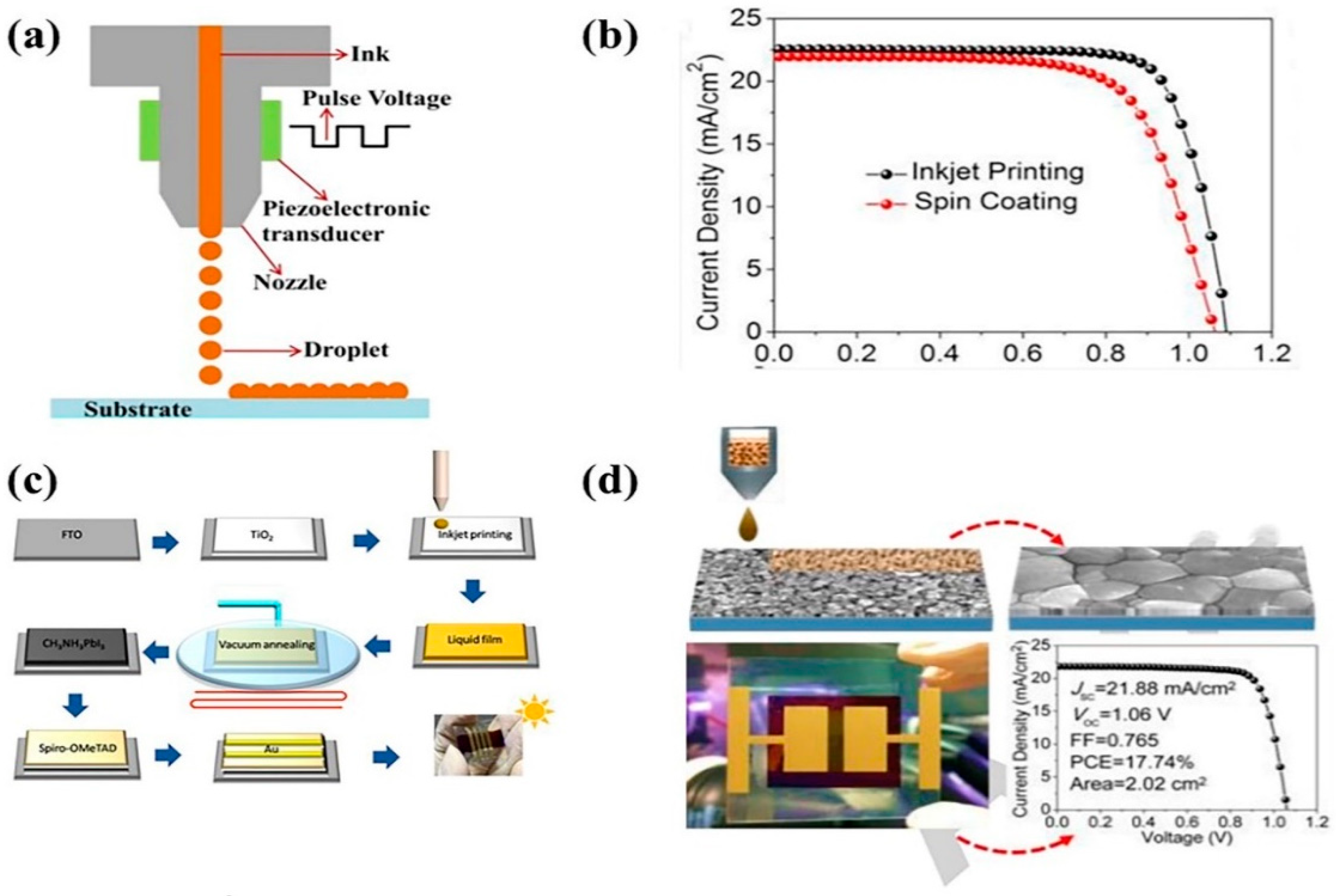 Coatings 12 00252 g010 550