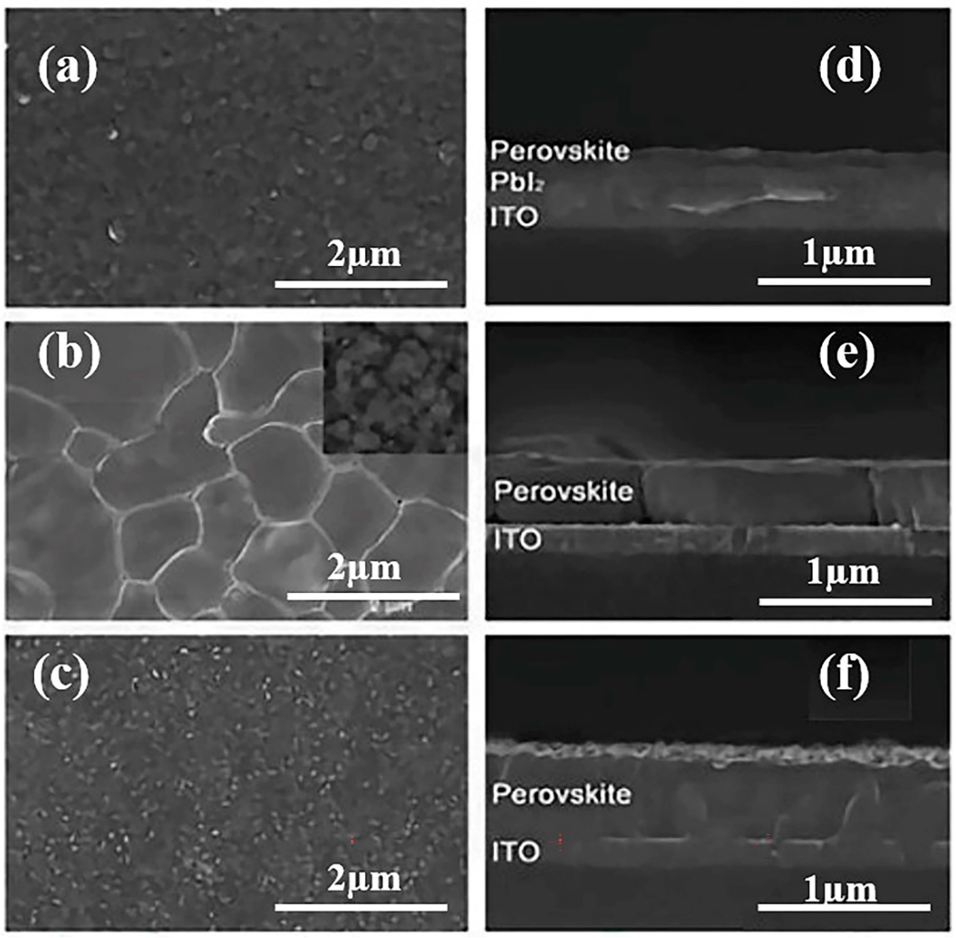 Coatings 12 00252 g013 550