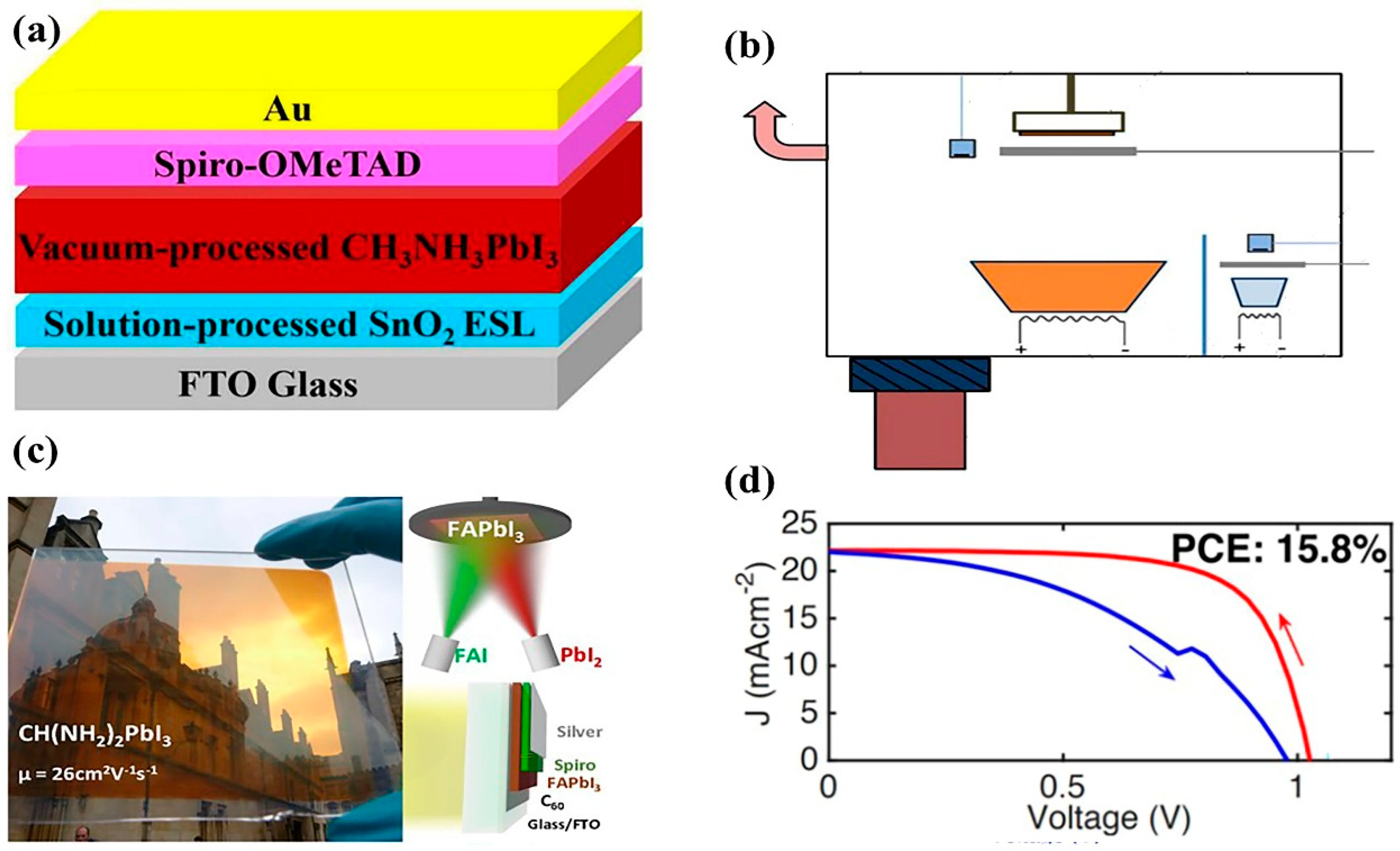 Coatings 12 00252 g016 550