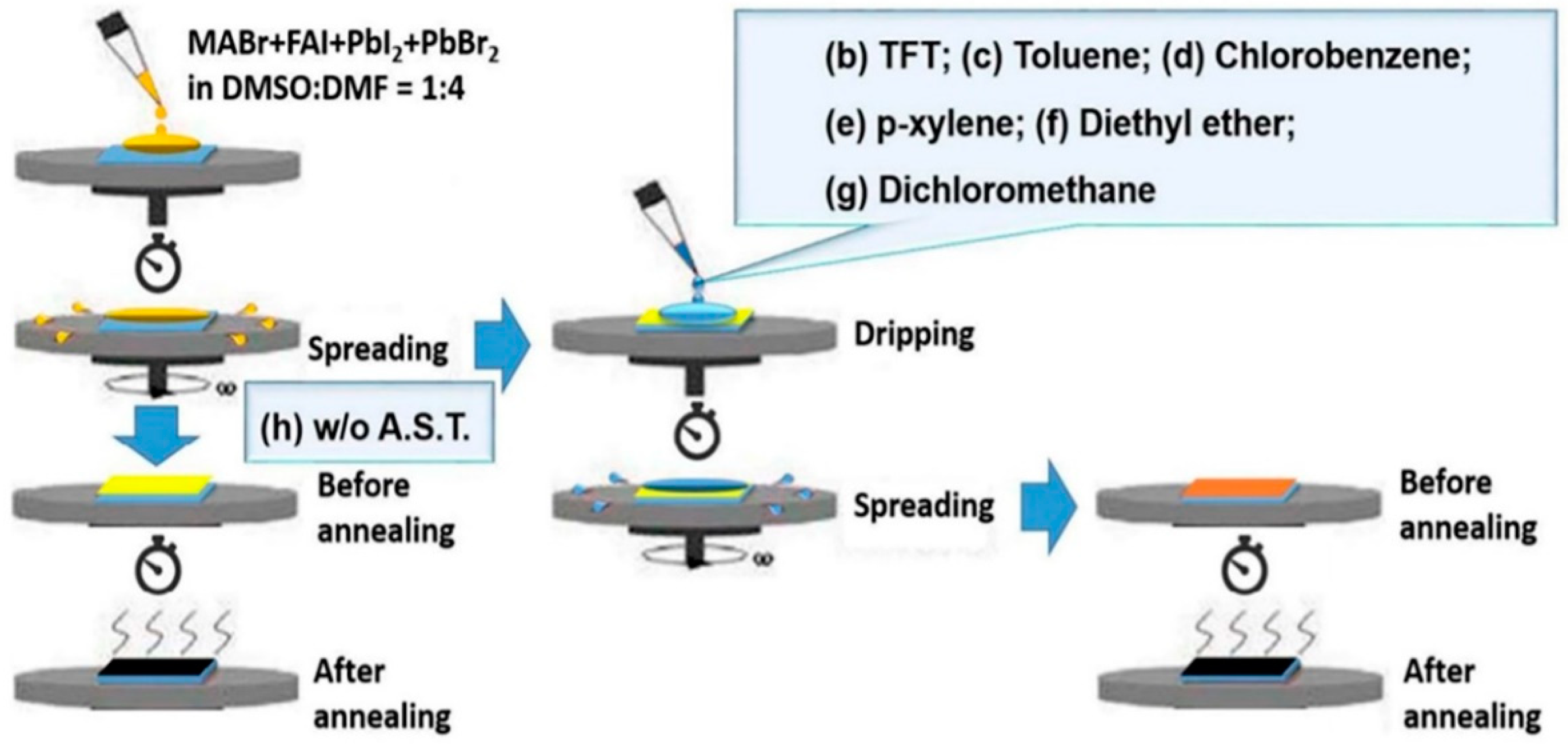 Coatings 12 00252 g020 550