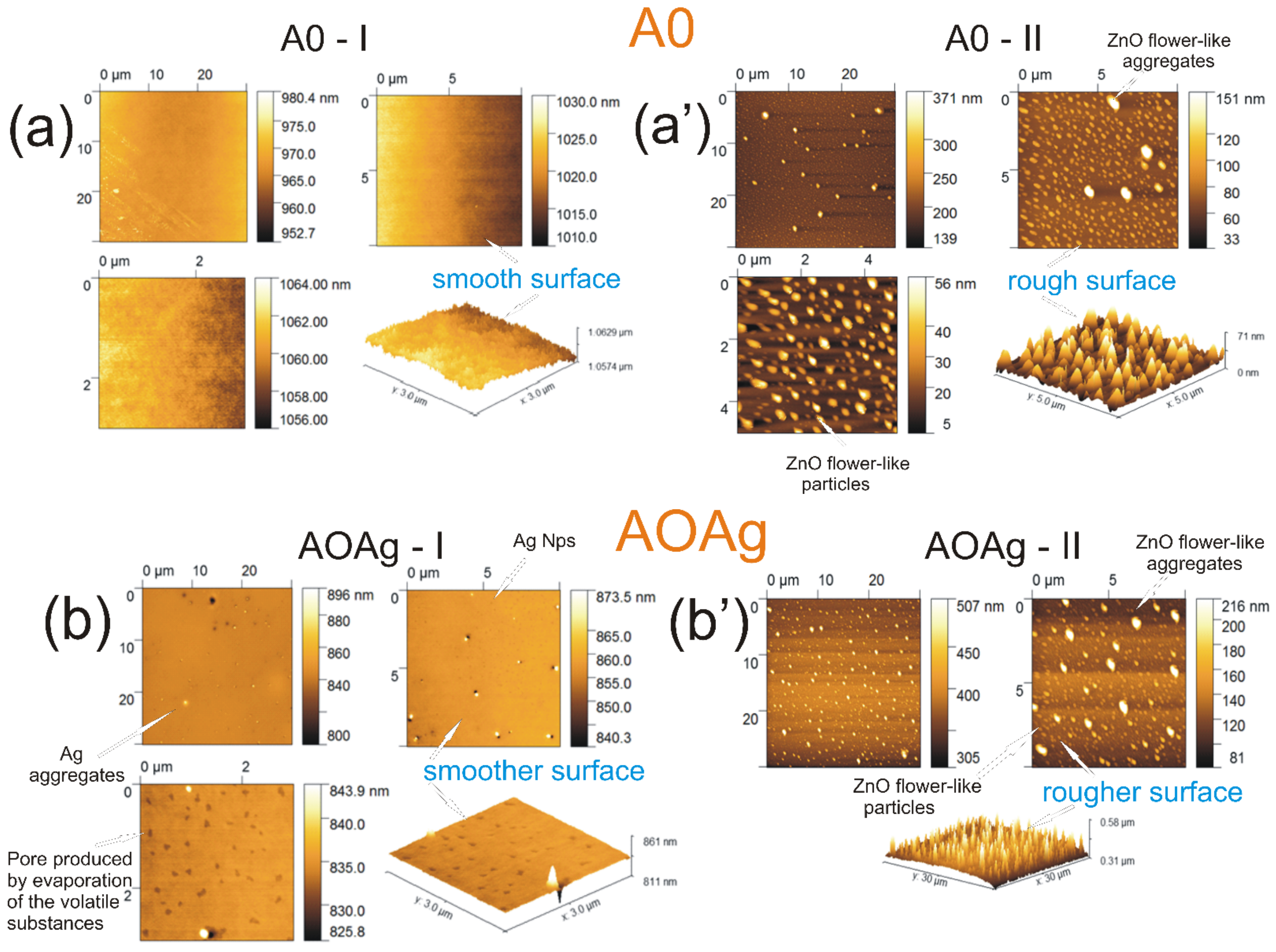 Coatings 12 00253 g002a 550