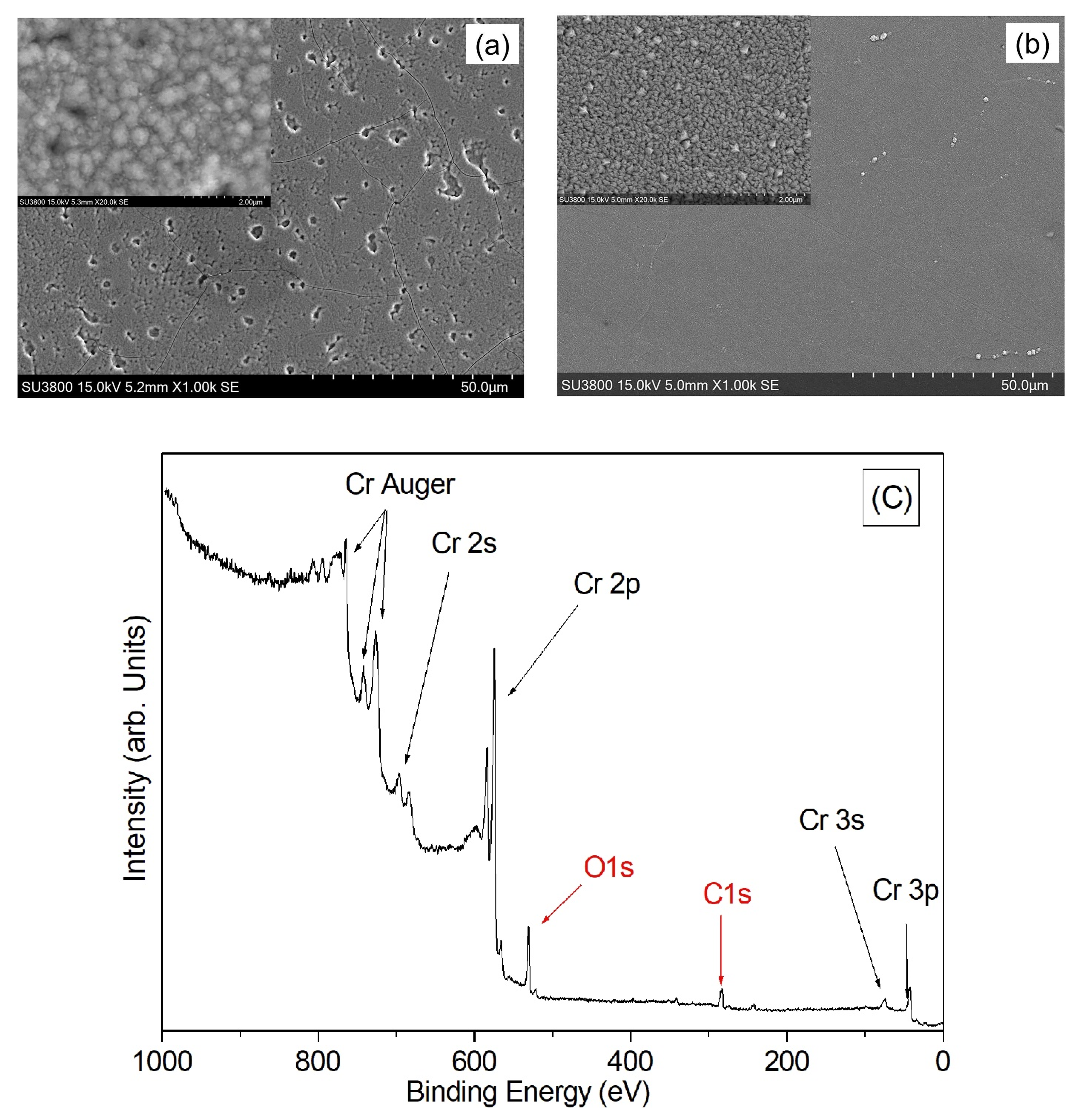 Coatings 12 00257 g003 550