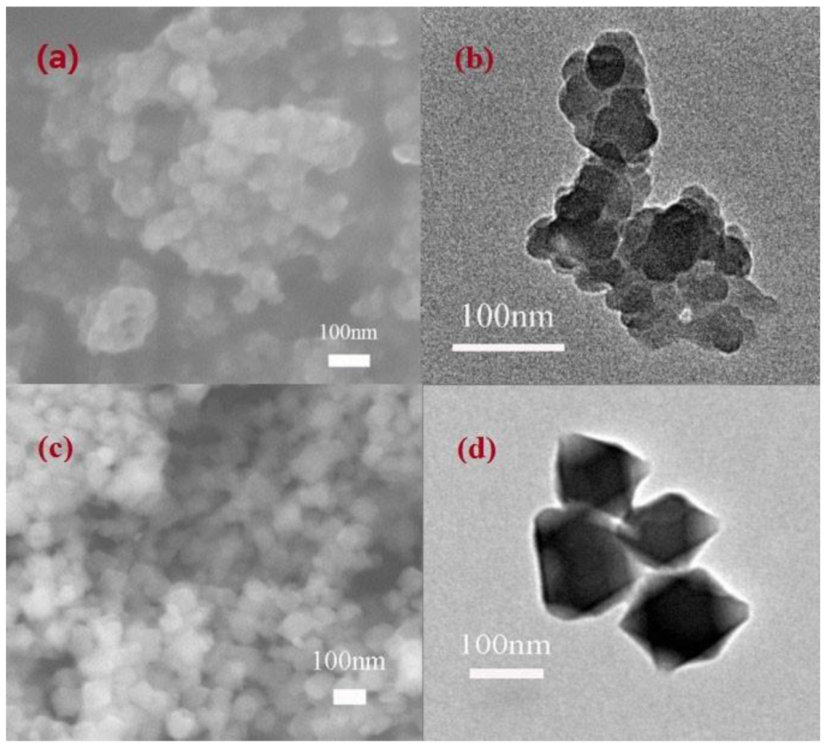 Coatings 12 00260 g003