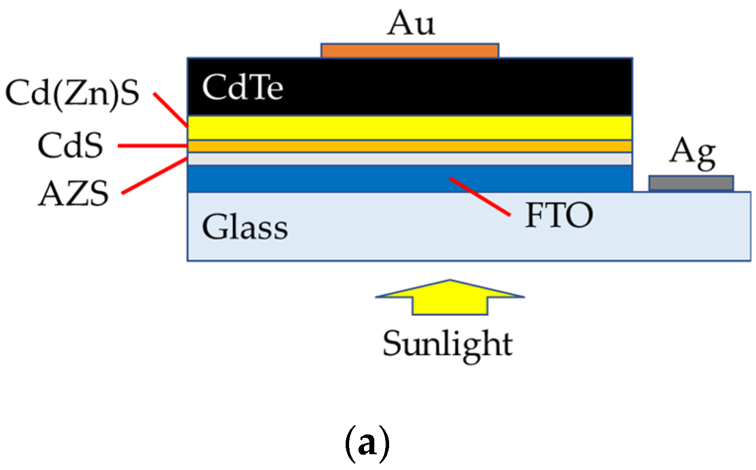 Coatings 12 00261 g001a 550