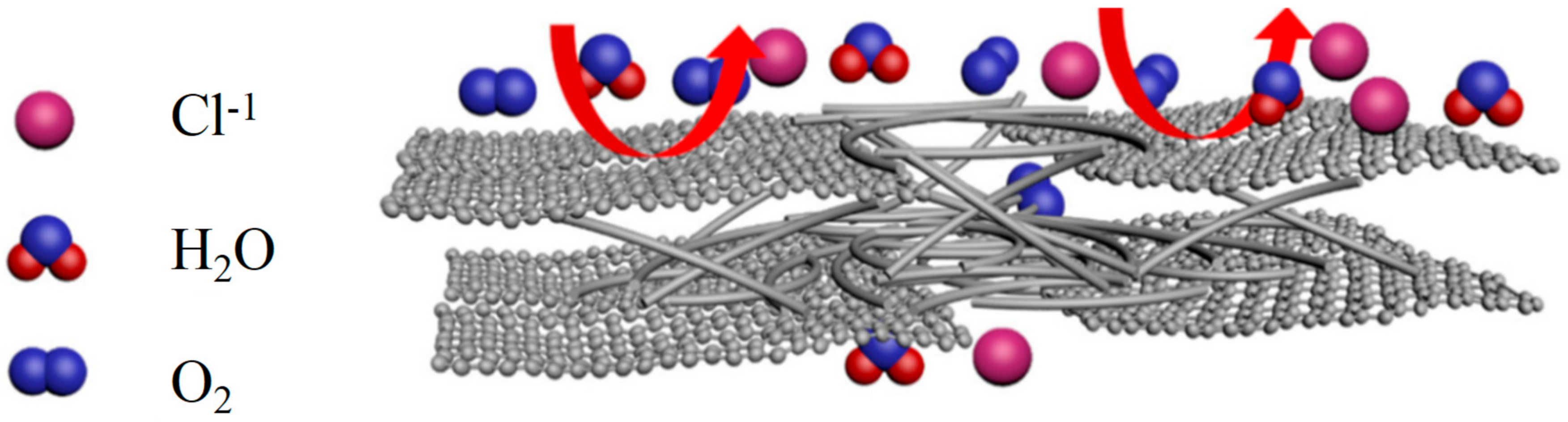 Coatings 12 00264 g007 550