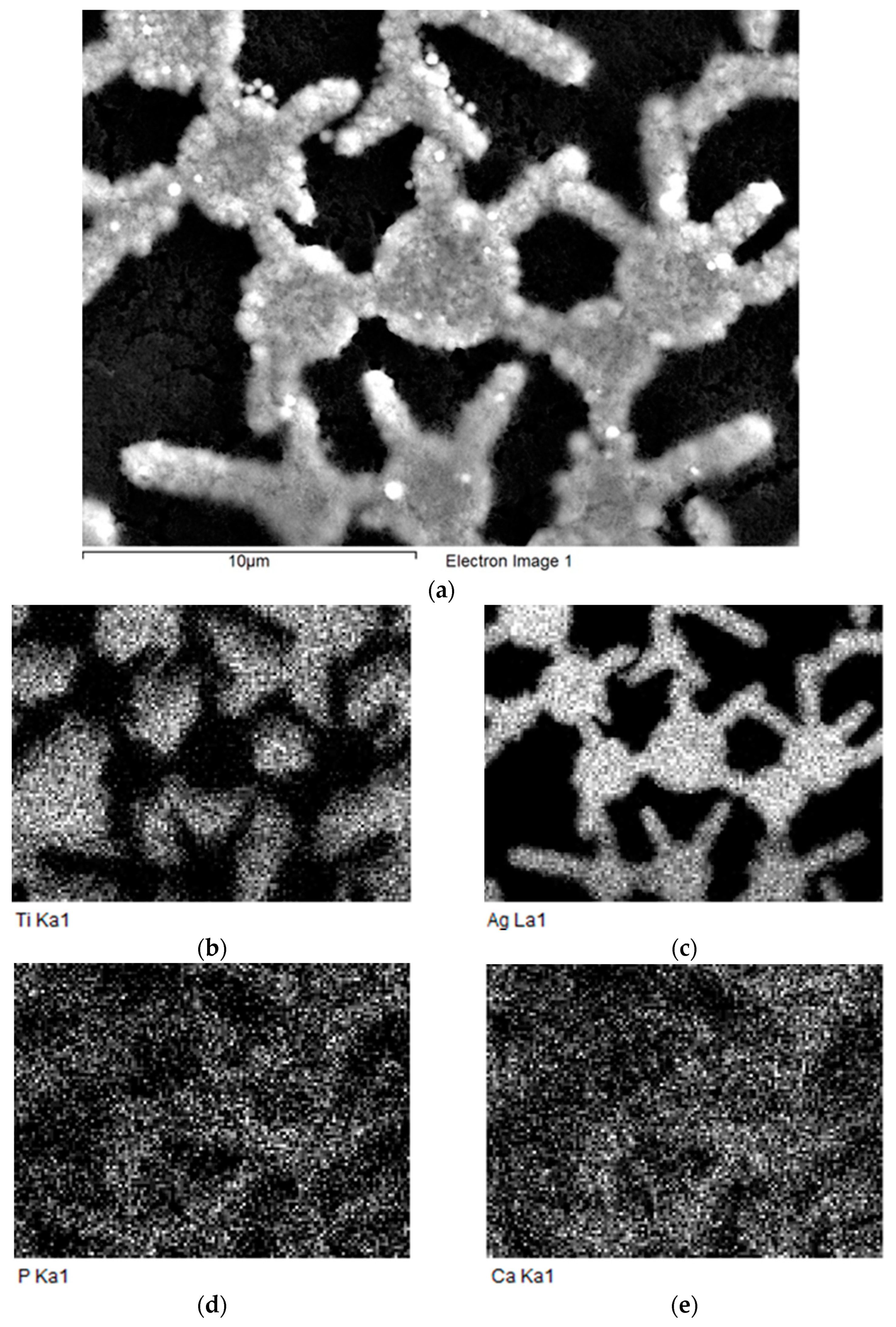 Coatings 12 00266 g005 550