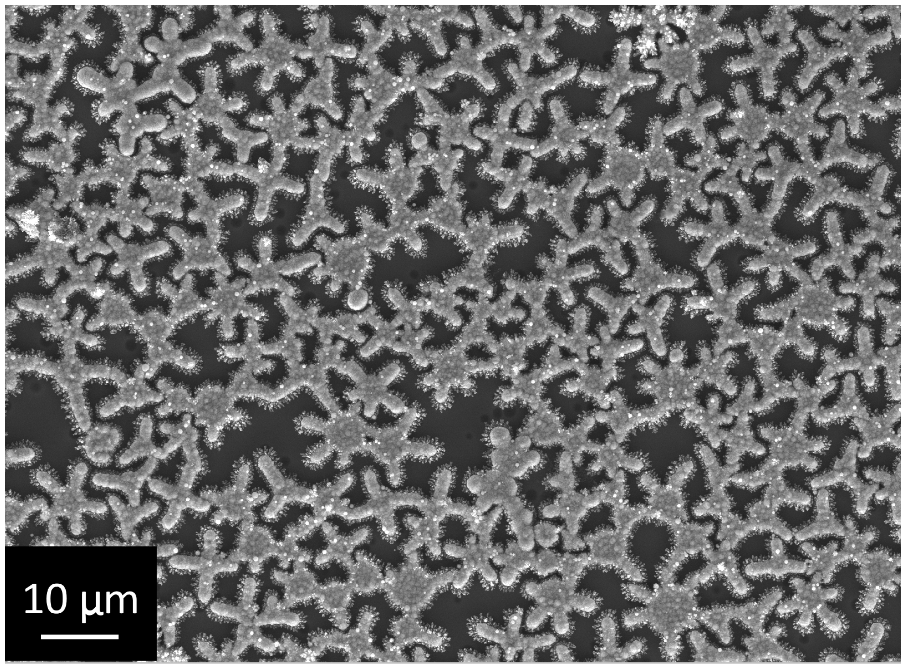 Coatings 12 00266 g006 550