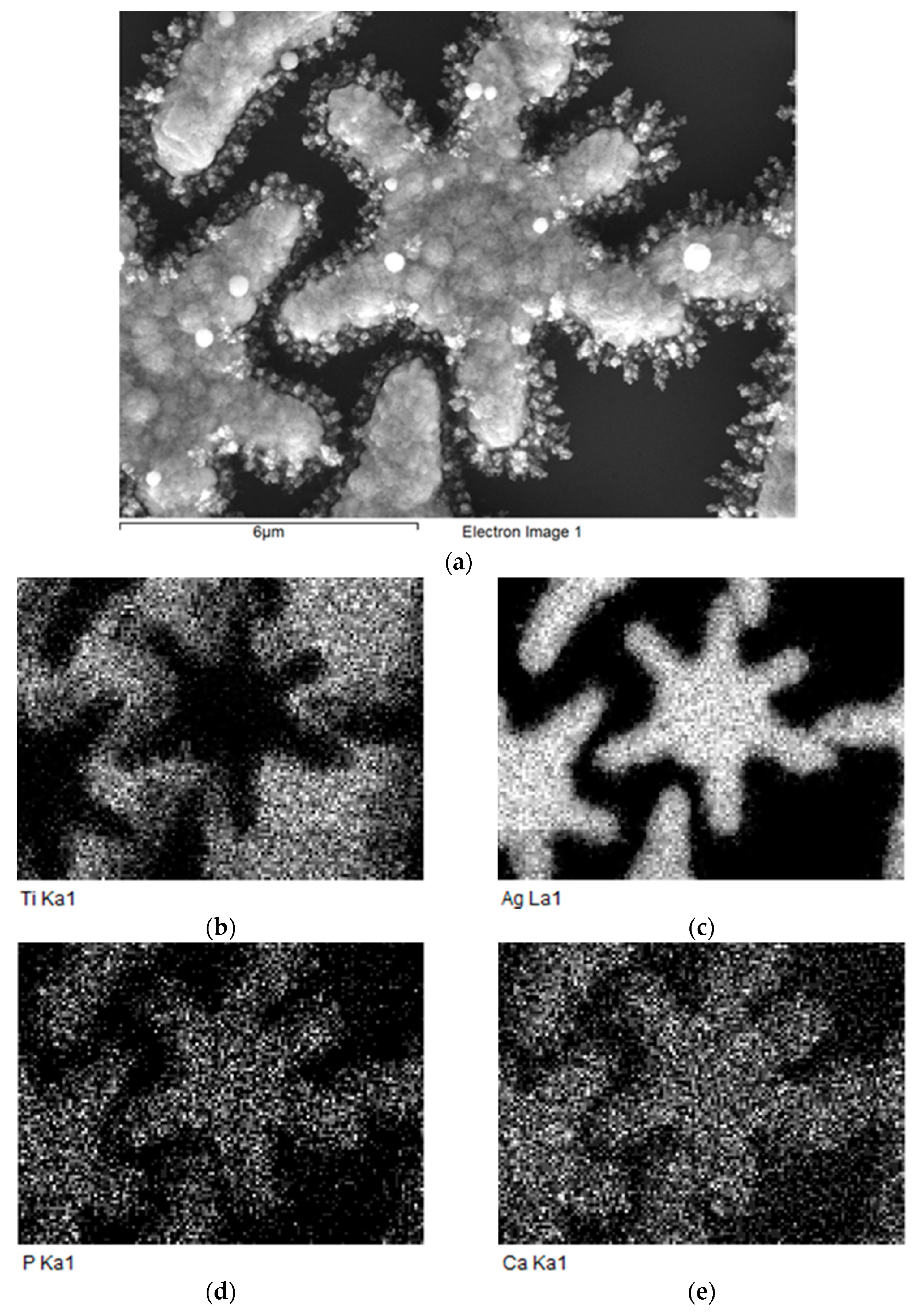 Coatings 12 00266 g007 550